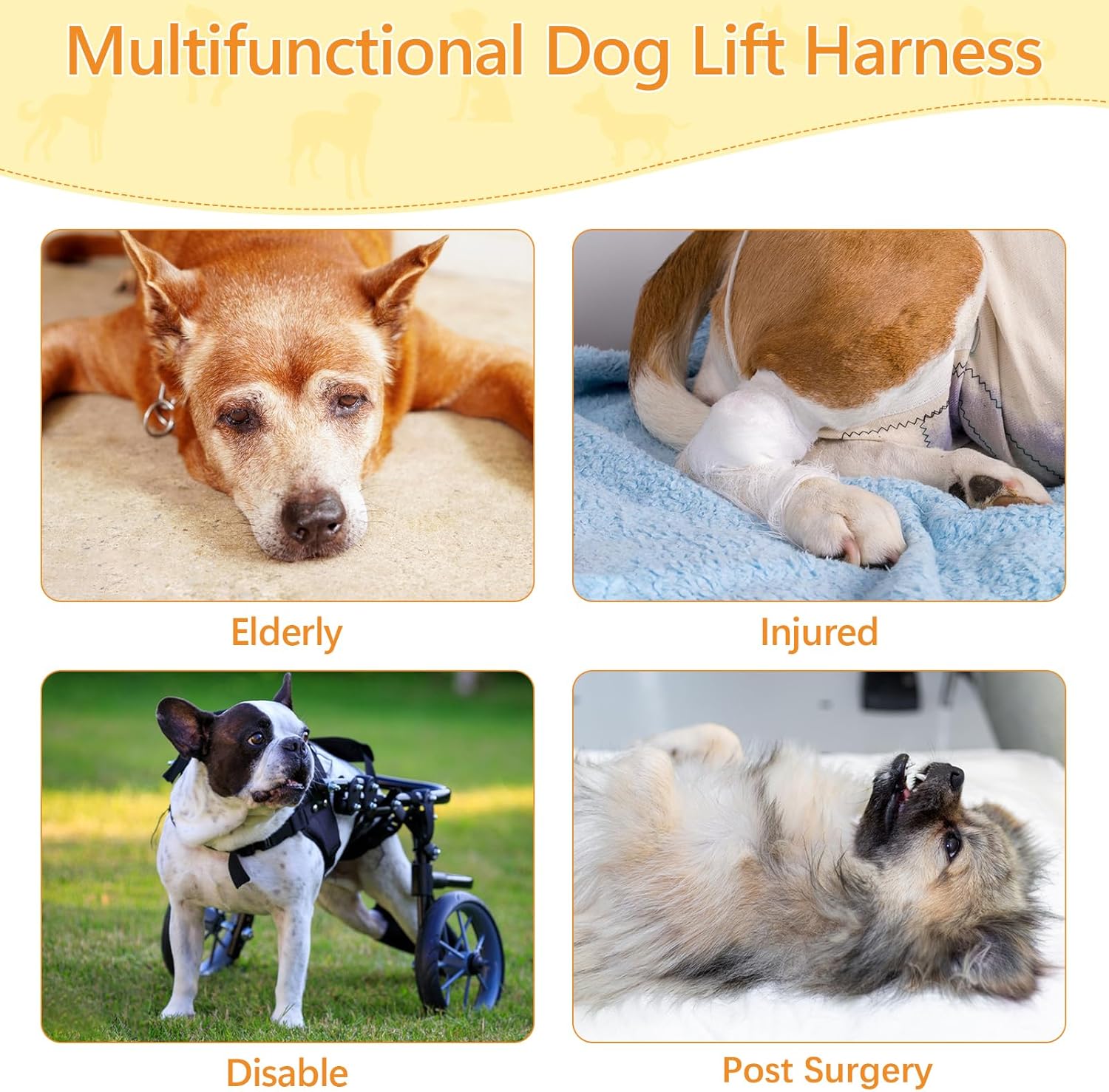 Lift with Love: A Review of the Best Dog Sling Harness for Large Dogs