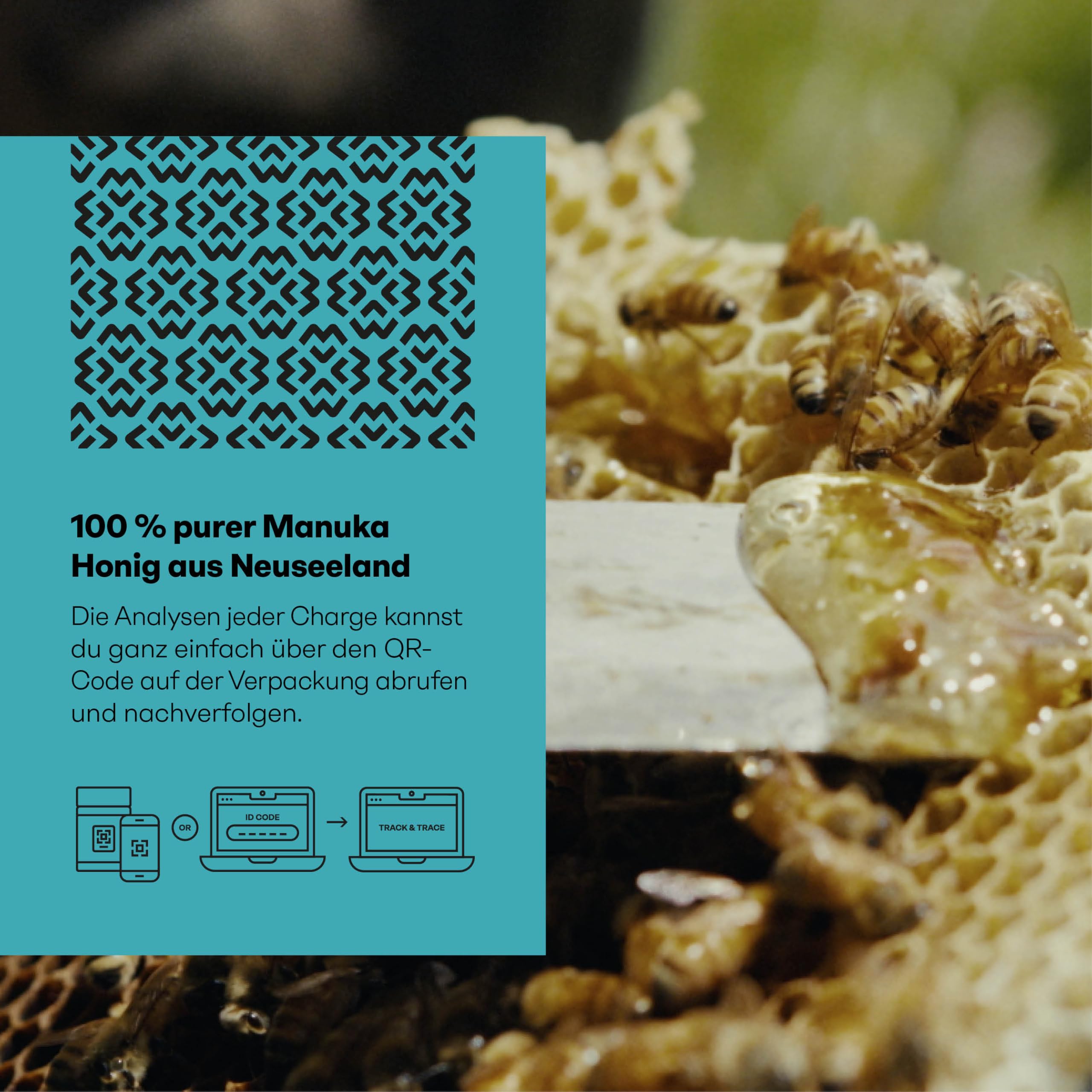 MANUKA VALLEY – Manuka Honig mit 459+ MGO im Glas. 600 g. Laborgeprüft und zertifiziert – 100 % natürlicher Manuka-Honig aus Neuseeland. Cremig, zart und mit subtiler, erdiger Note