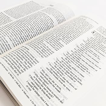 Amazon | Holy Bible: New Revised Standard Version Updated Edition