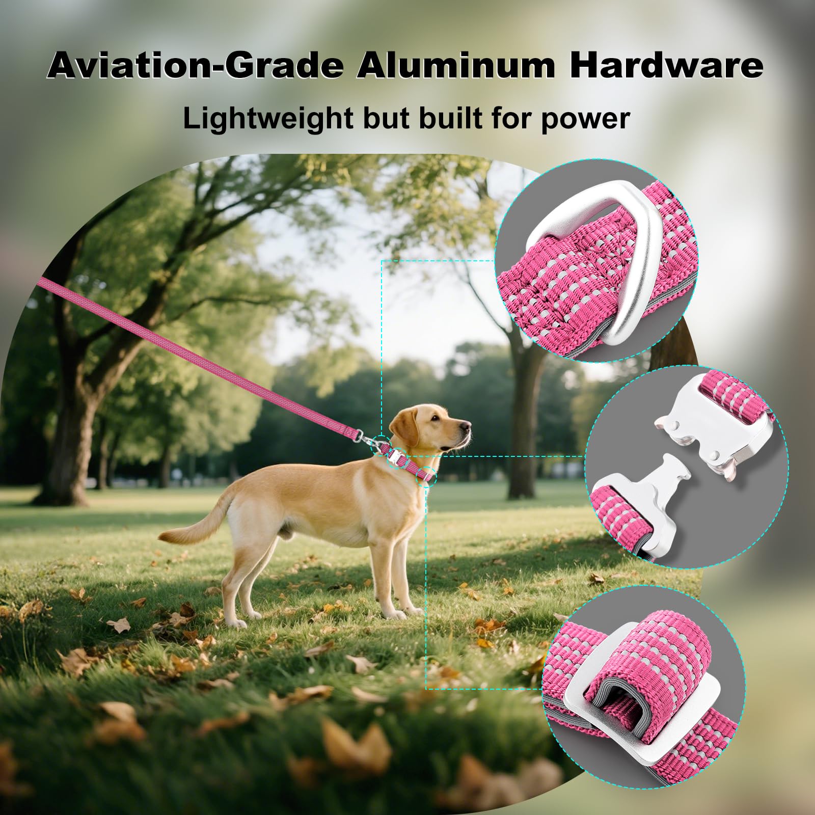 Plutus Pet Reflective Dog Collar with Aviation Aluminum Buckle, Neoprene Padded for comfort Lightweight - Image 3