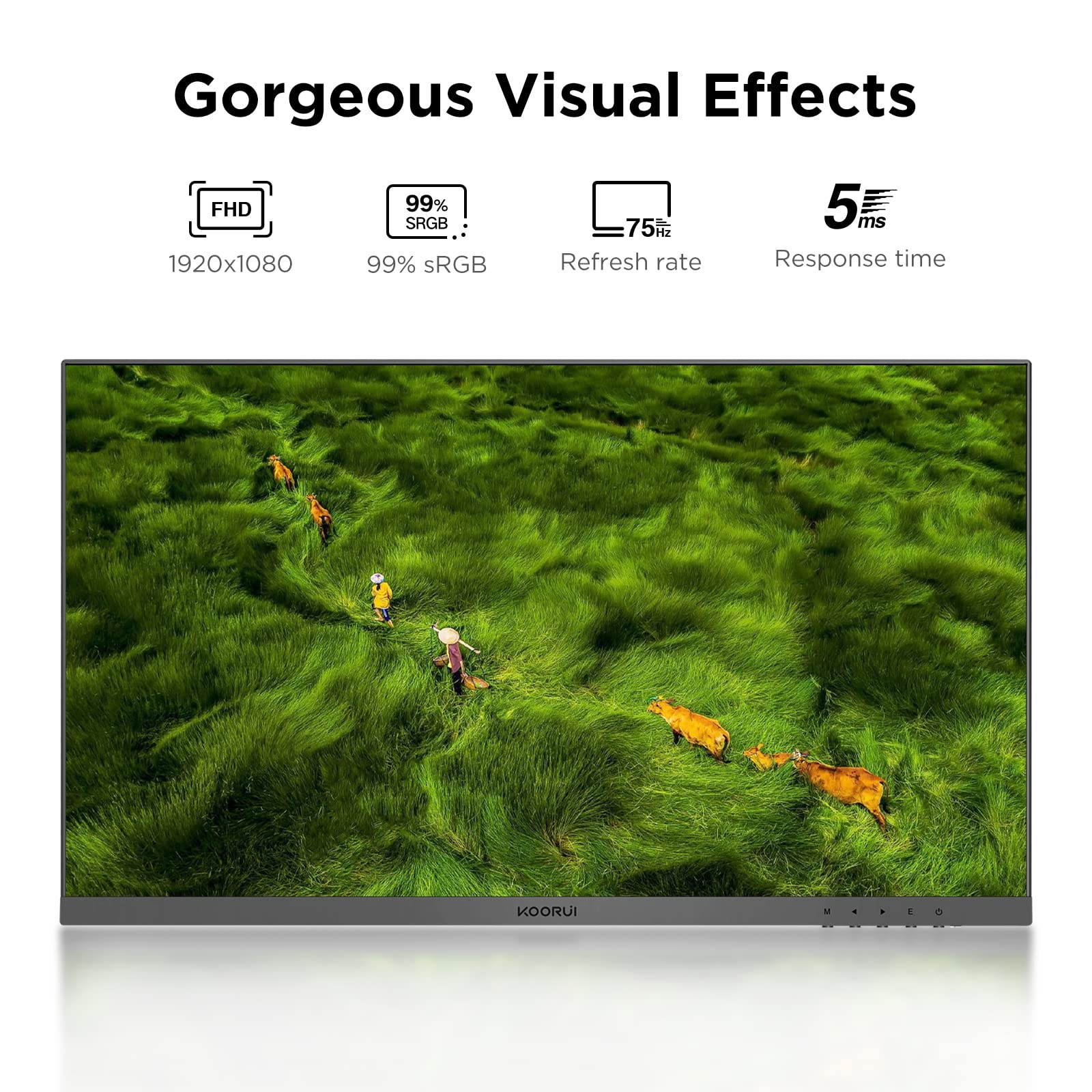 https://m.media-amazon.com/images/I/81t3pSzoplL.jpg