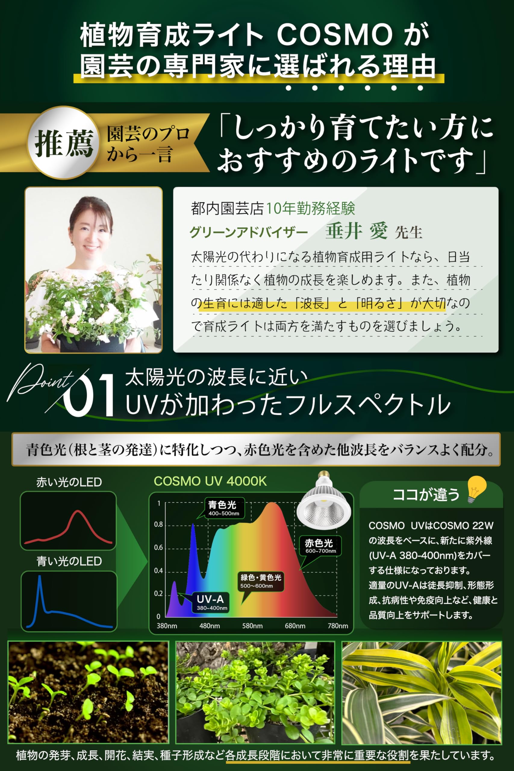 Amazon.co.jp: 【グリーンアドバイザー推薦】BRIM(ブリム) COSMO UV