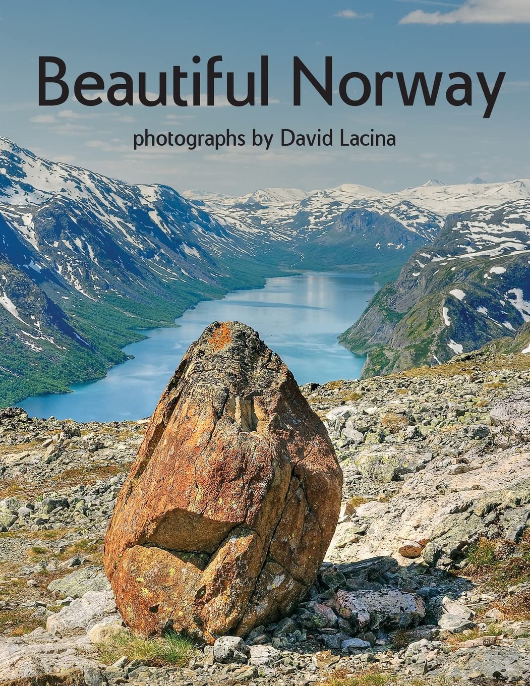 Beautiful Norway [Lingua Inglese]