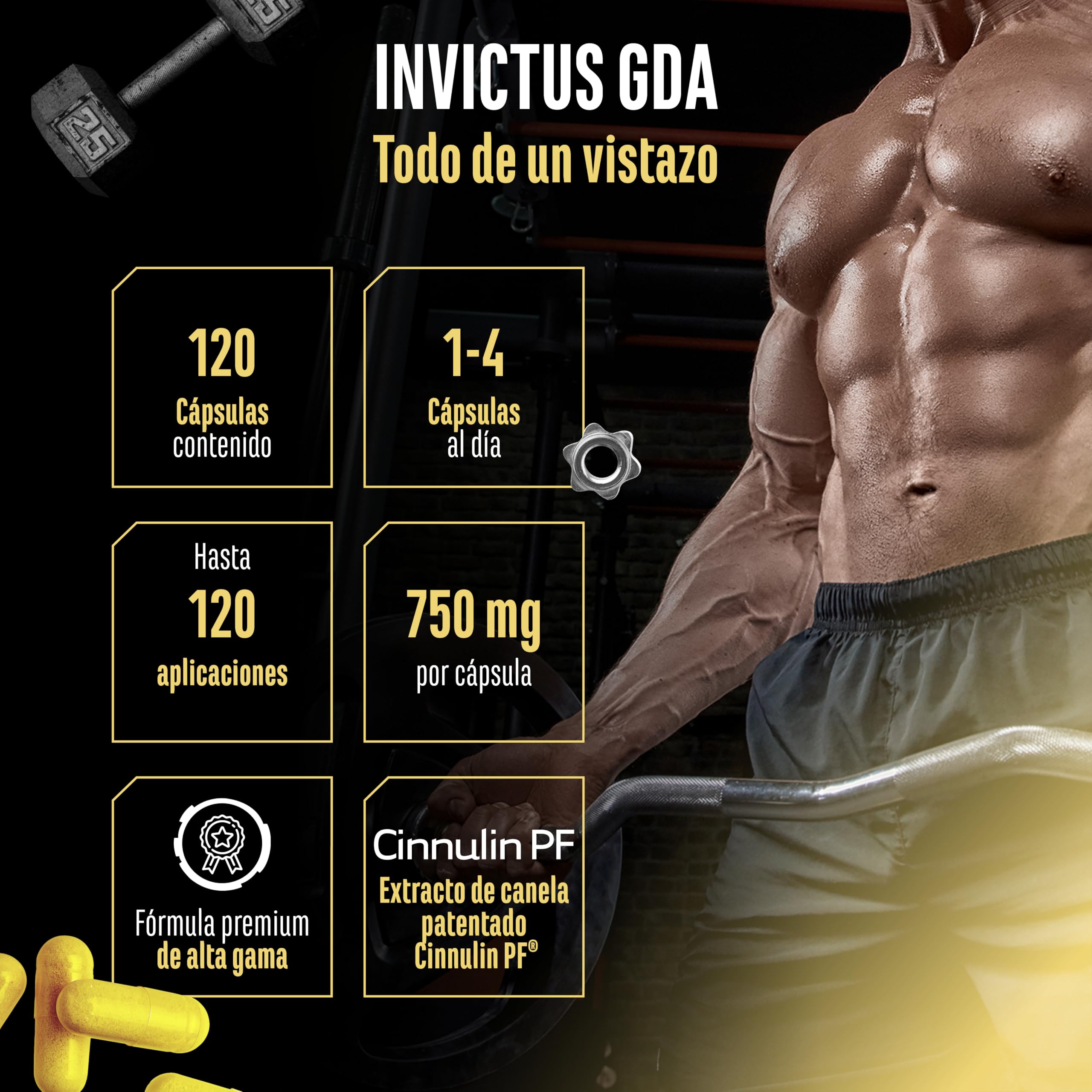 Invictus G.D.A – Complejo GDA de alta dosis con berberina, Cinnulin PF® (extracto de corteza de canela) y ácido R-alfa-lipoico bioactivo – 120 cápsulas veganas