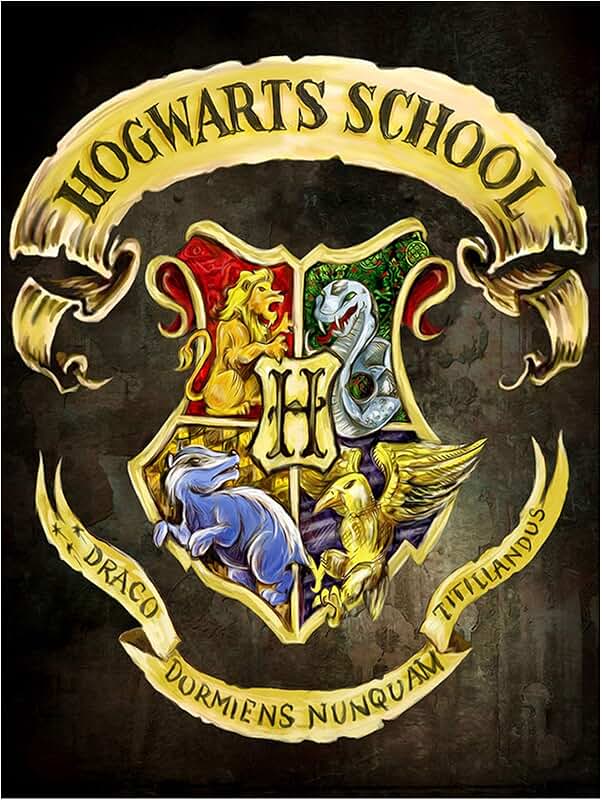 diamond painting harry potter diamond painting harry potter