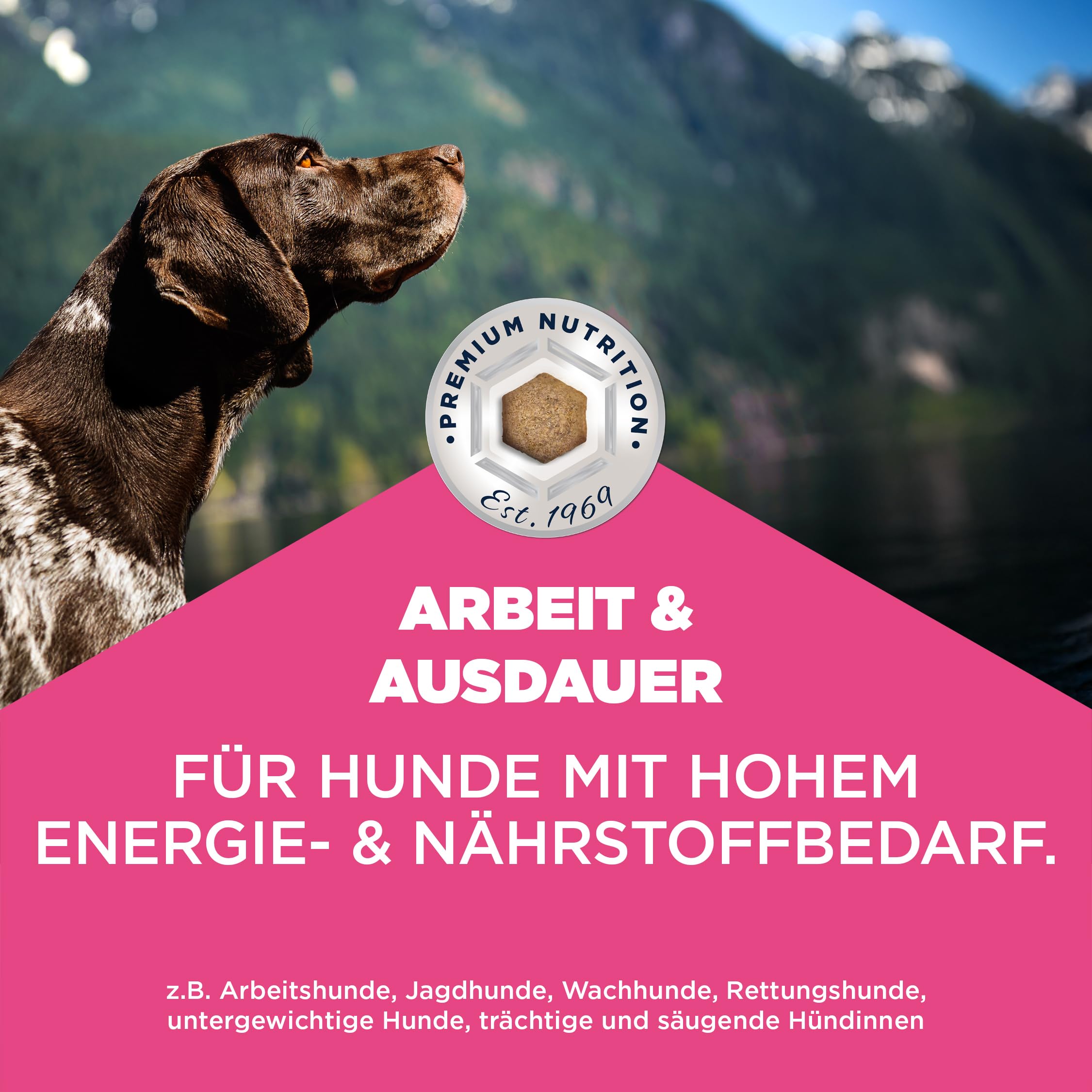 Eukanuba Working & Endurance Hundefutter mit frischem Huhn - Energiereiches Special Care Trockenfutter für Arbeitshunde, Jagdhunde sowie trächtige & säugende Hündinnen, 15 kg