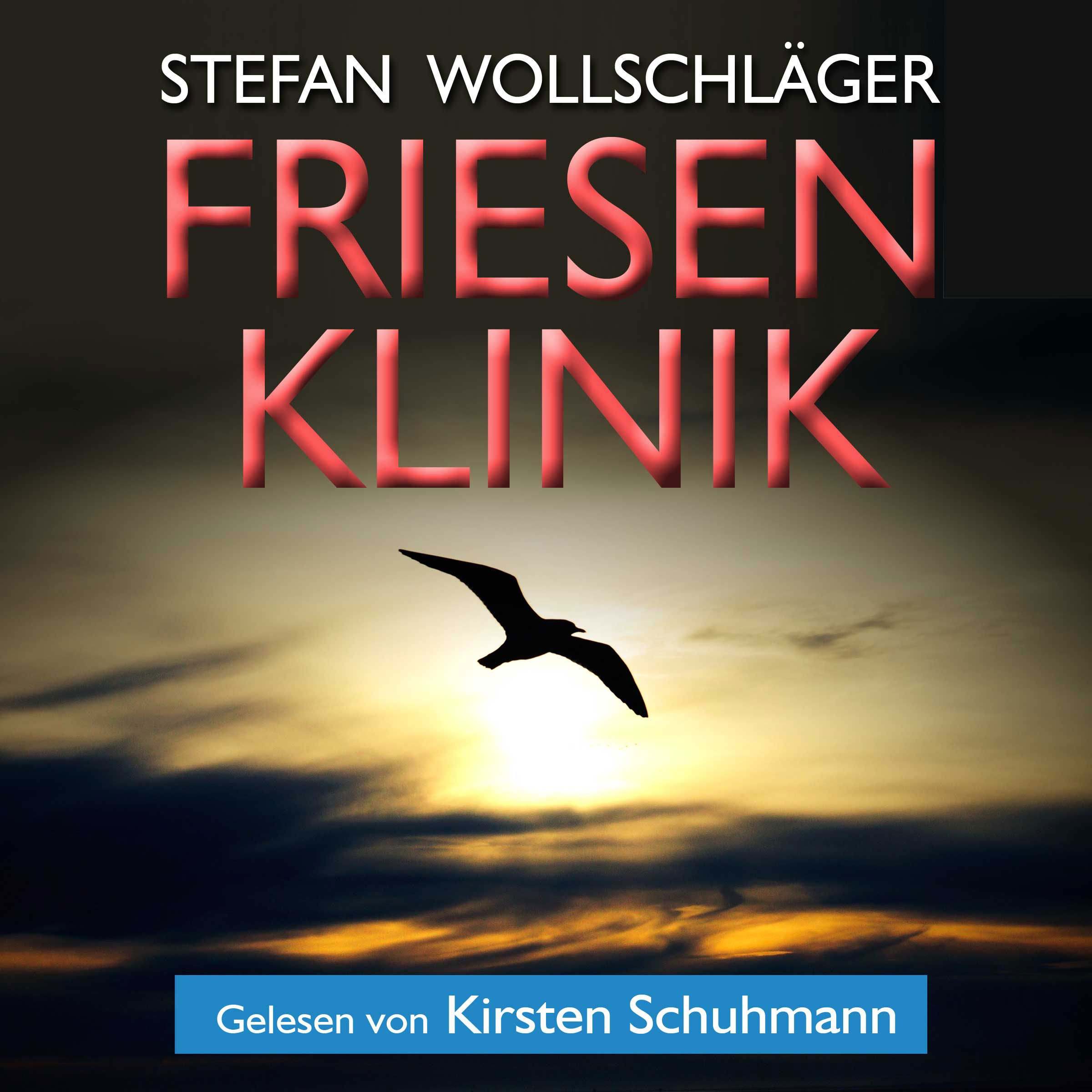 Cover art for Friesenklinik [Friesenklinik: Ostfriesen Thriller (Diederike Dirks Determined, Volume 2)]