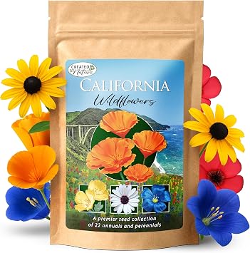 California Wildflower Seed Mix Over 54,000 Flower Seeds, Covers 300 Sq Ft