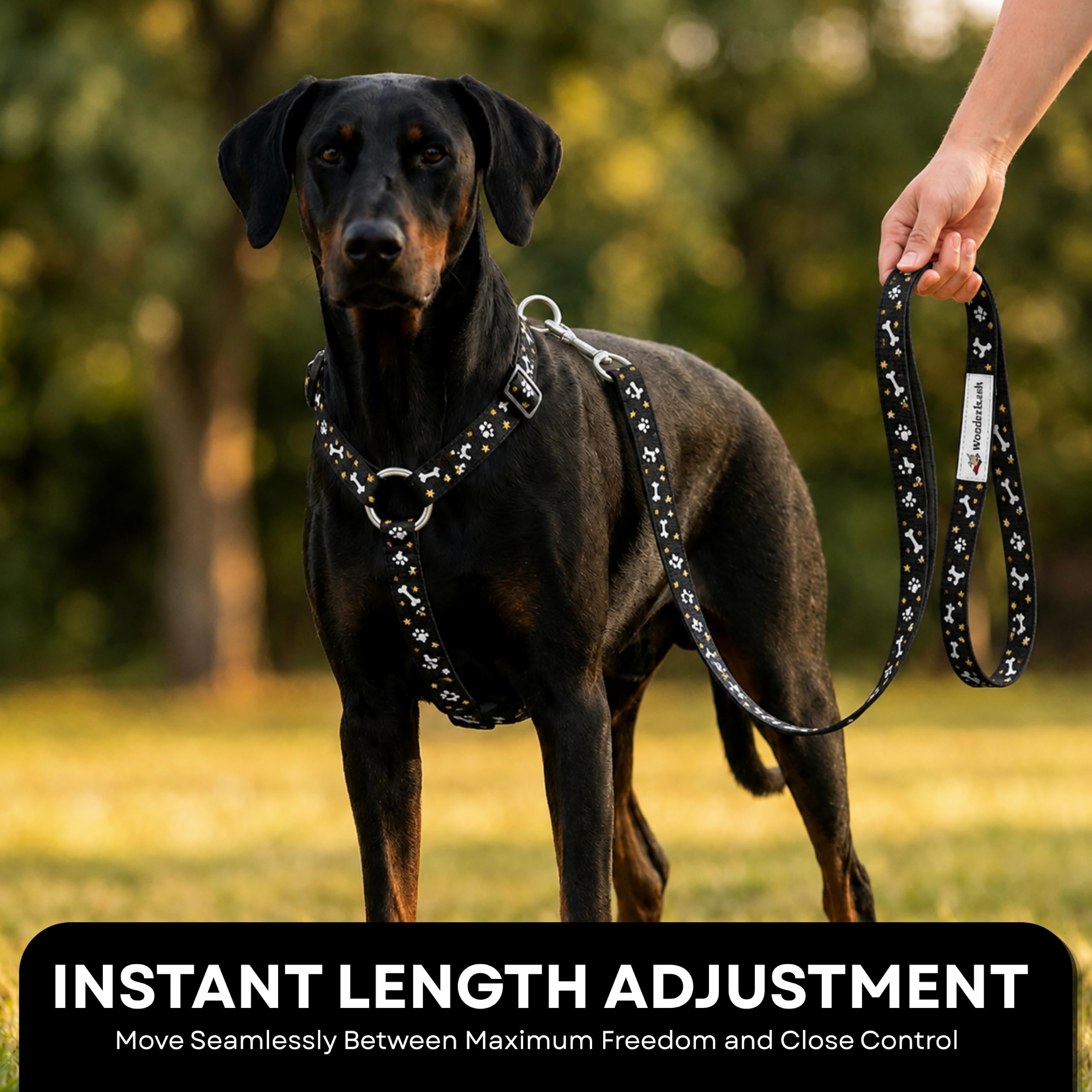 Wonderleash 3 in 1 Hundeleine für Hunde, robuste lange Linie, Trainingsleine mit Notfall-Halsband, bequemer Griff, geeignet für kleine Hunde (Schwarz, S)