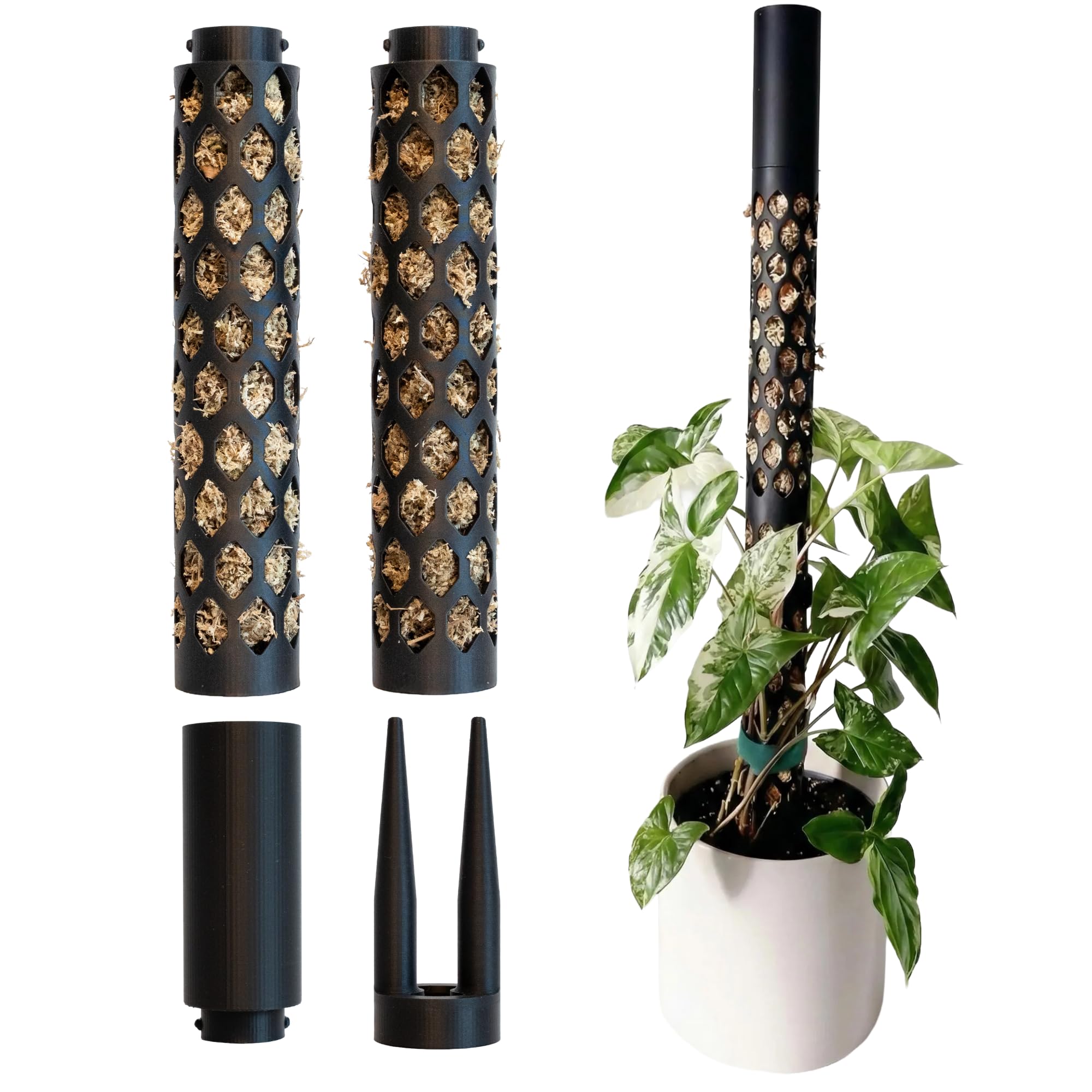 metermoos Moosstab Größe M 2er‑Set mit echtem Sphagnum‑Moos für Monstera & Kletterpflanzen – modular, verlängerbar & stabile Rankhilfe für Zimmerpflanzen