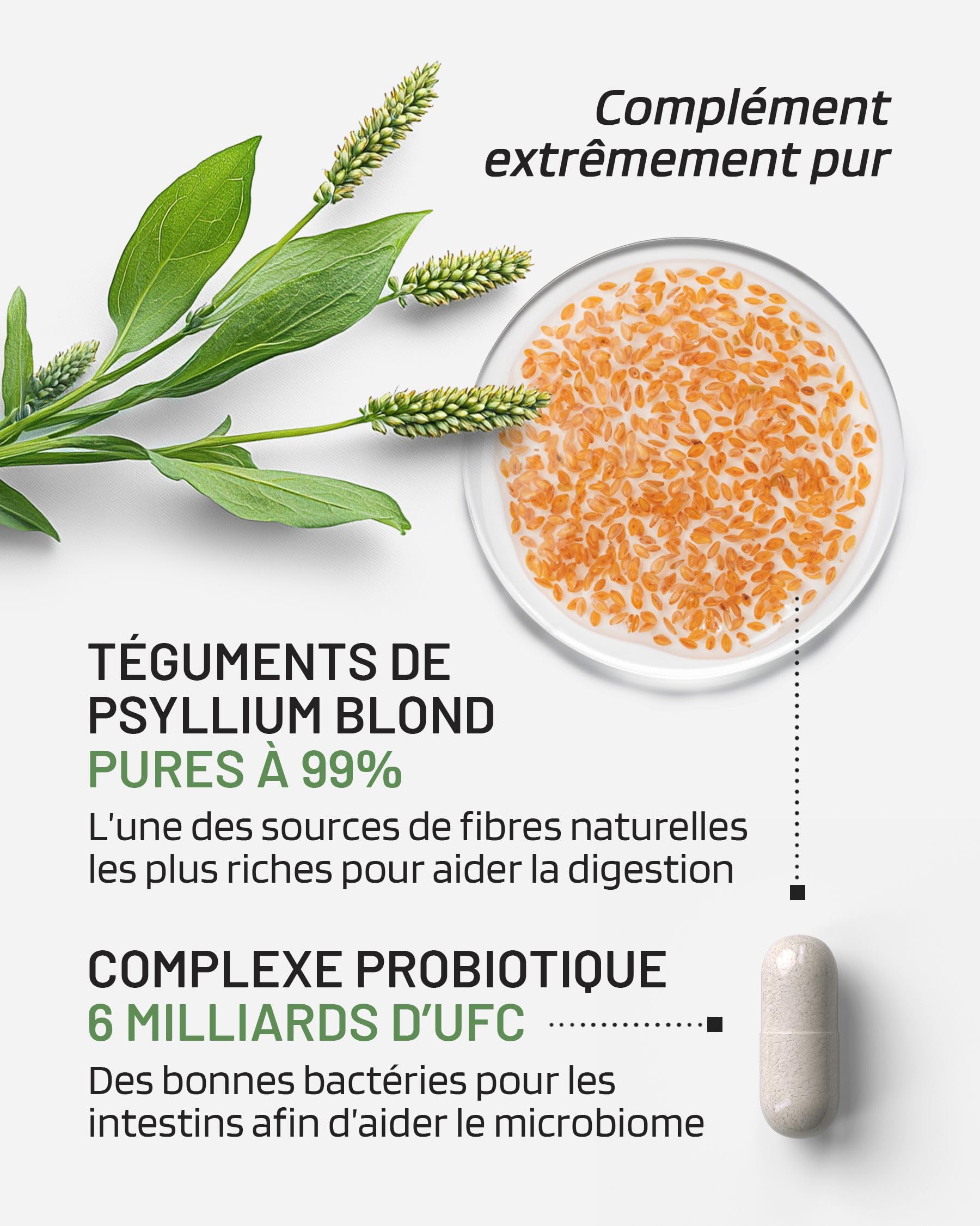 Psyllium Blond avec Probiotiques 1400 mg - Téguments purs à 99% - 60 gélules - Transit, Digestion, Fonction Intestinale - Fibres alimentaires avec Psyllium Husk & Complexe Probiotique 6 Milliards