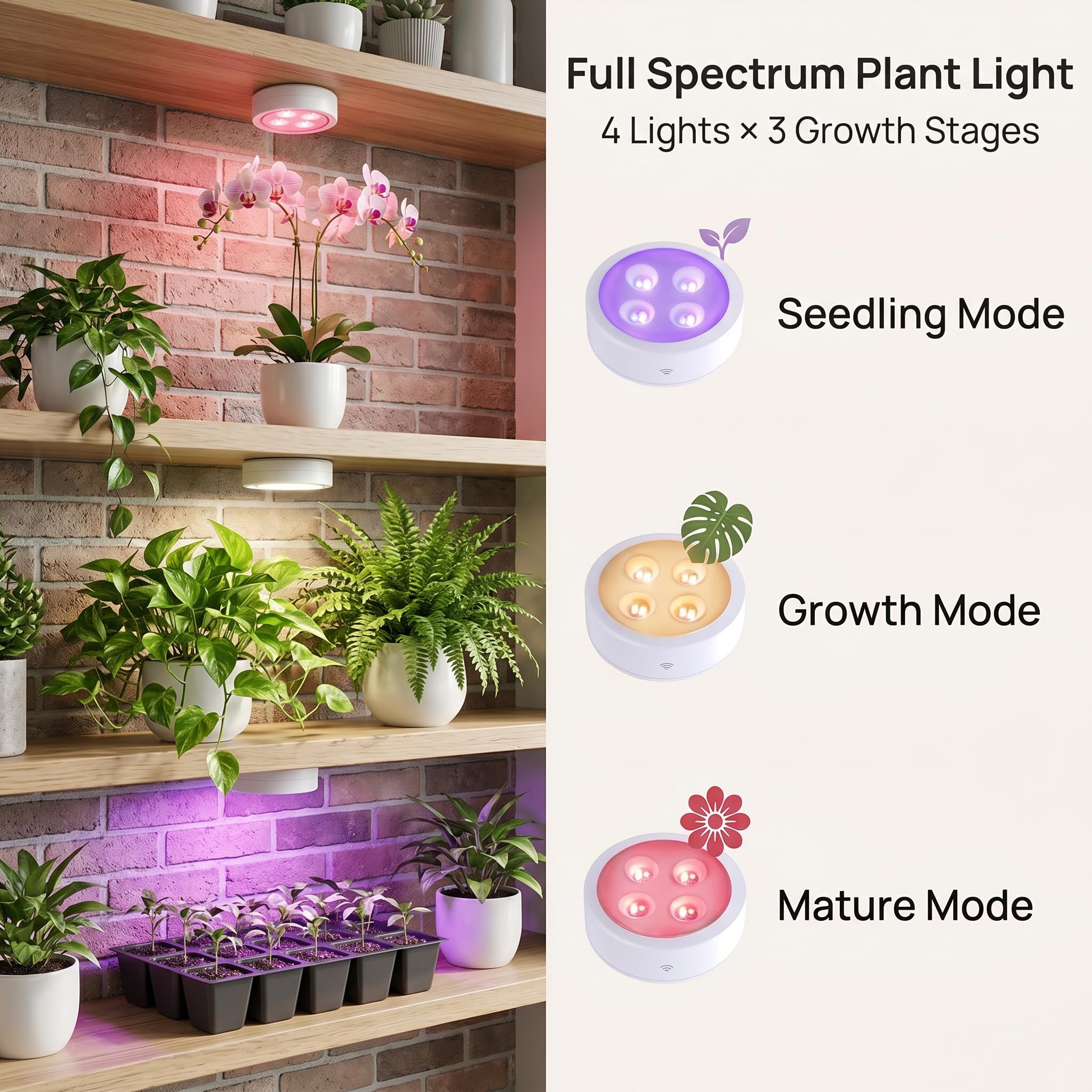 Paquete de 2 luces de cultivo recargables, LED de espectro completo inalámbrico para plantas de interior, montaje magnético, temporizador y control remoto, USB-C de 2000 mAh para estantes