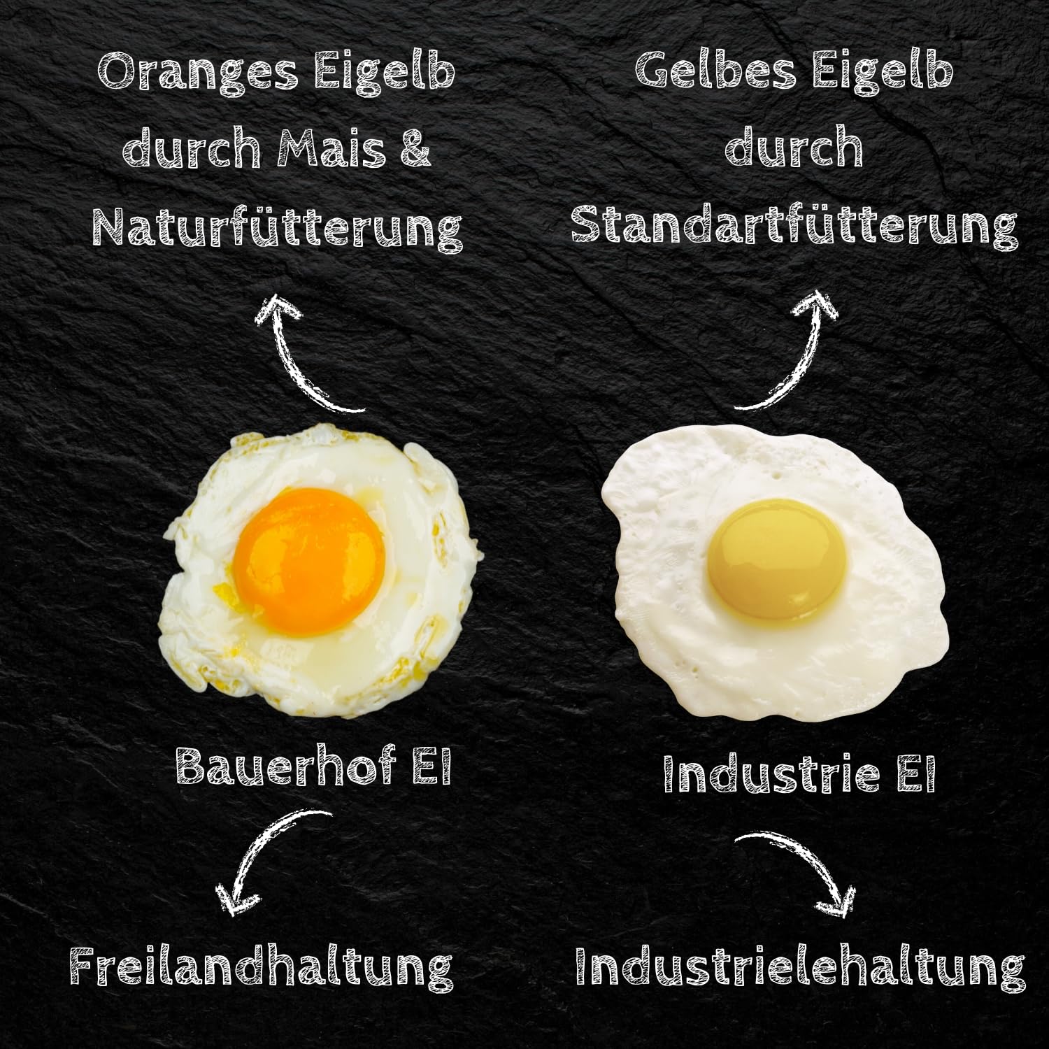 Frische Eier Freilandeier direkt vom Bauernhof Größe M 30 Stück natürlich gefüttert mit Mais und Naturfutter für vollmundigen Geschmack sicher verpackt Hühnereier 1740 gramm)