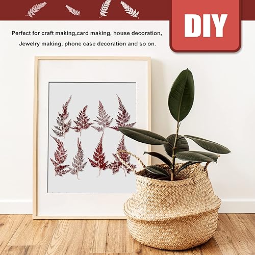 Miniatura 5 de ALJ Hojas de helechos secos, 42 hojas de helecho prensadas de color rojo natural, hojas prensadas para plantas reales para arte de resina,