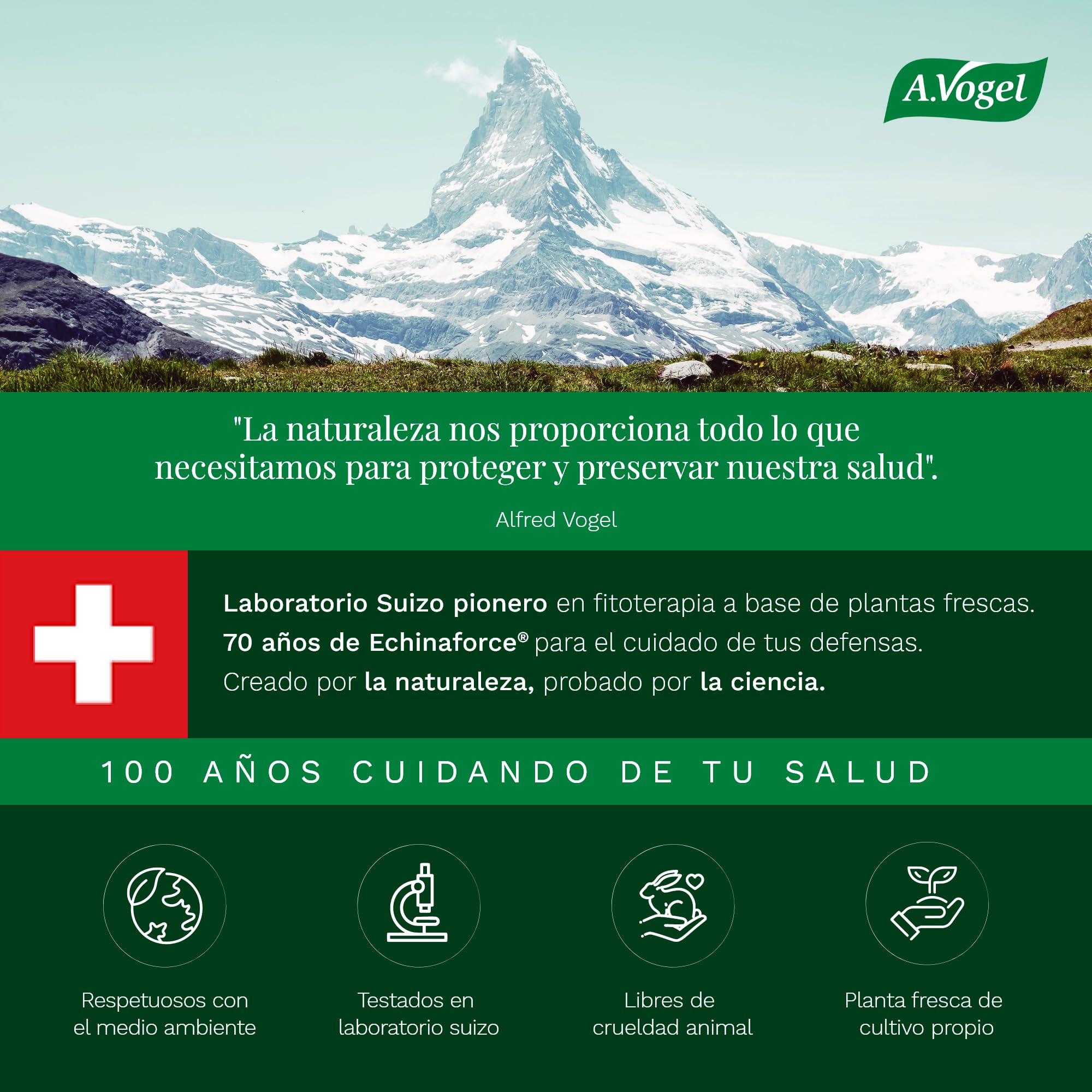 A.Vogel Echinaforce Forte, Apoyo tu Sistema Inmune, Extracto de Planta Fresca, Echinacea Purpurea, Cultivo Biológico Certificado, 30 comprimidos