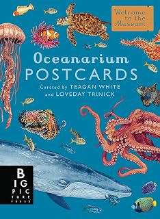 Oceanarium Postcard Box Set: 50 Teagan White Ocean Life Watercolor Illustrations (Welcome to the Museum)