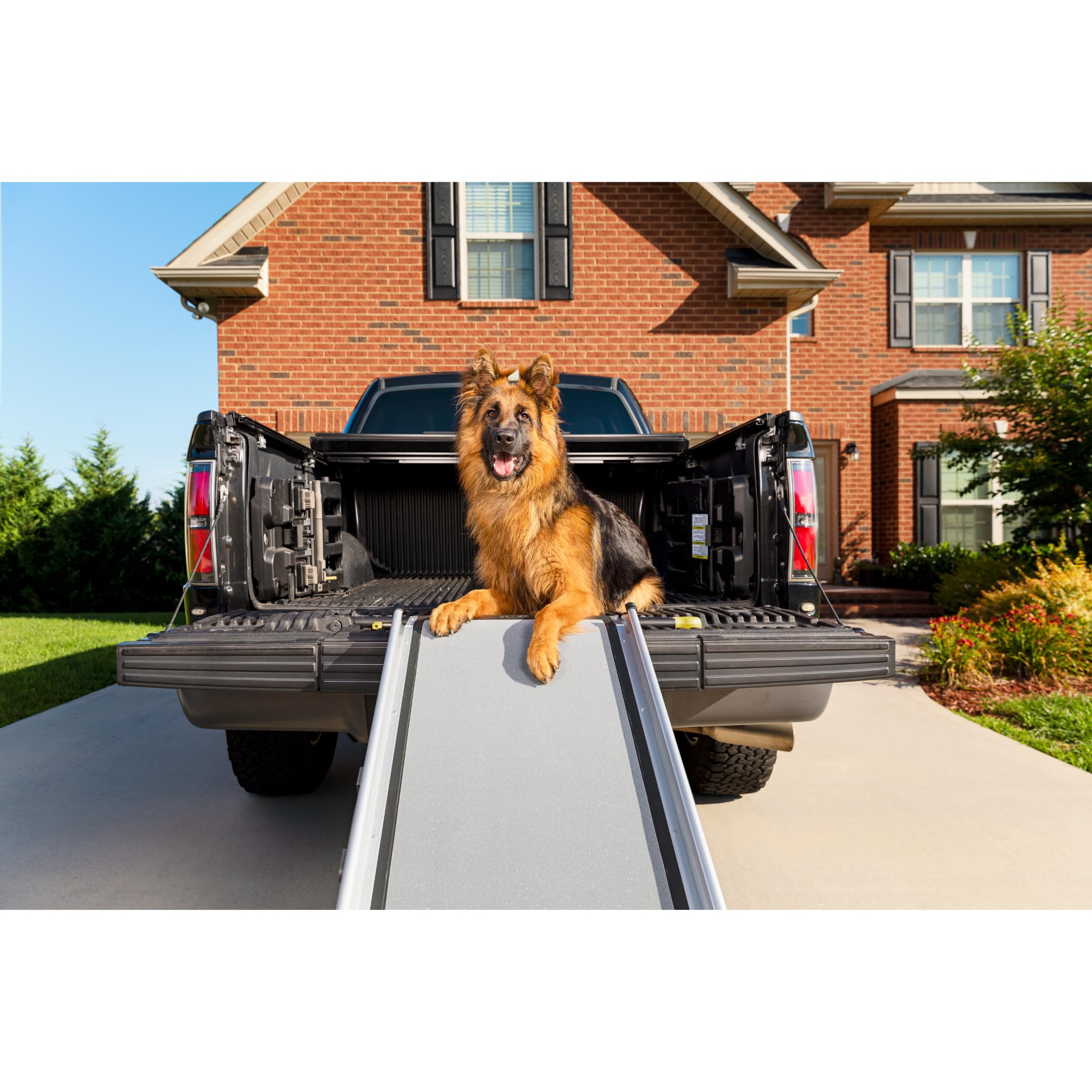 Petsafe Happy Ride Folding Pet Ramp 62 Inch 2026 - Vet Ranch - We Love Pets Petsafe Happy Ride Folding Pet Ramp 62 Inch 2026 - Vet Ranch - We Love Pets