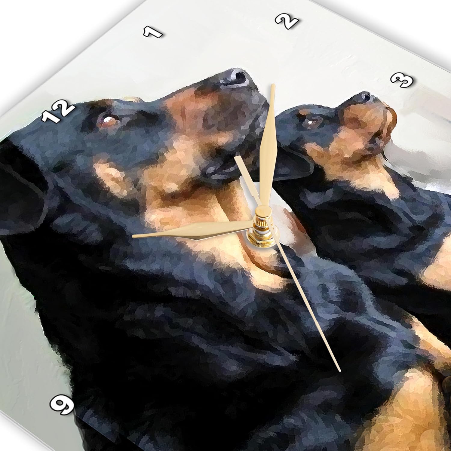 3dRose DPP_4371_1 LLC Rottweiler Wall Clock, 10 by 10-Inch