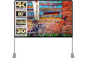 Portable 80" Projector Screen with Stand