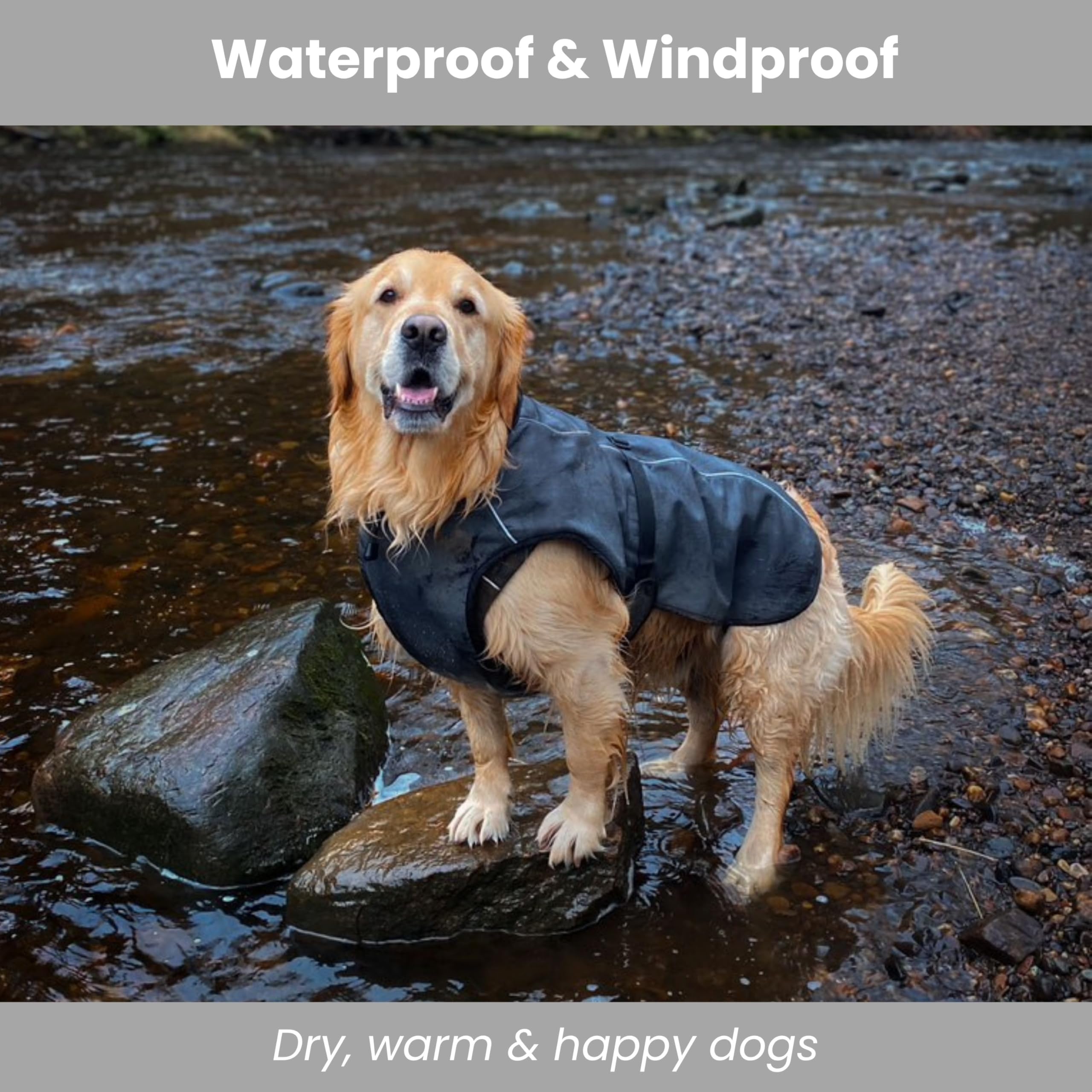 Cappotto invernale per cane-Impermeabile-Caldo-Isolato-Gilet (M, grigio scuro)
