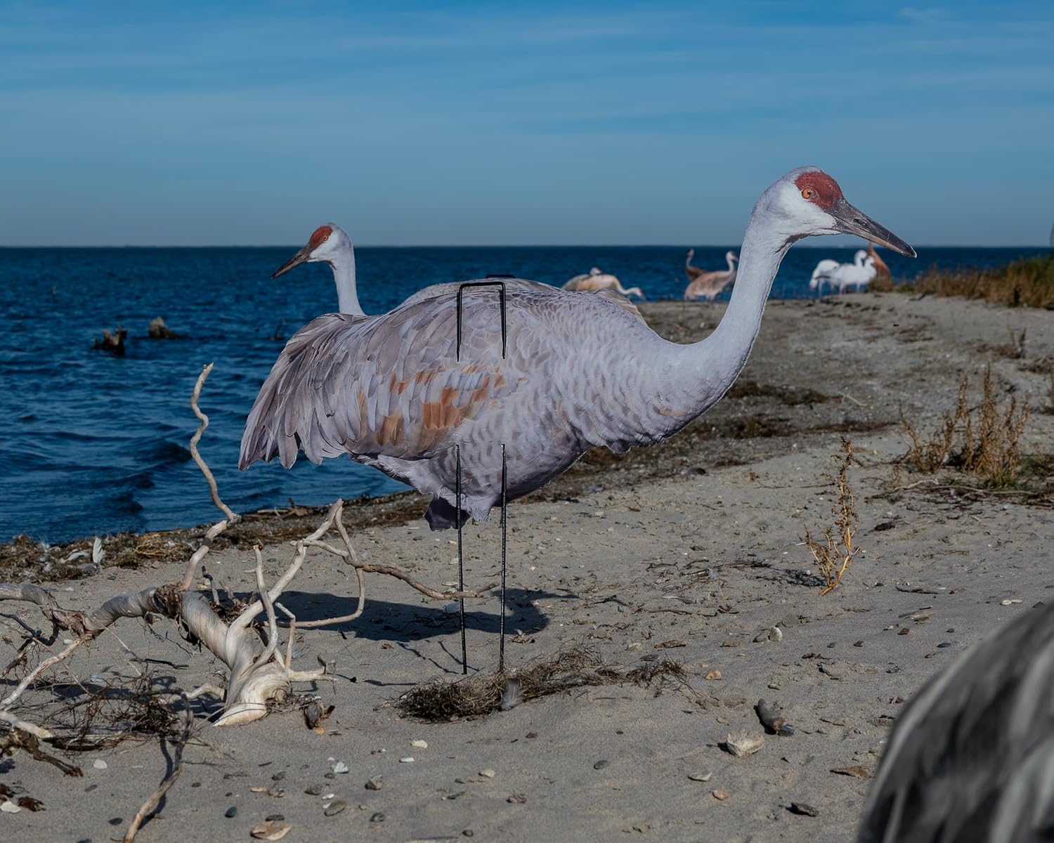 Decoys Gen 3 Sandhill Crane Decoys