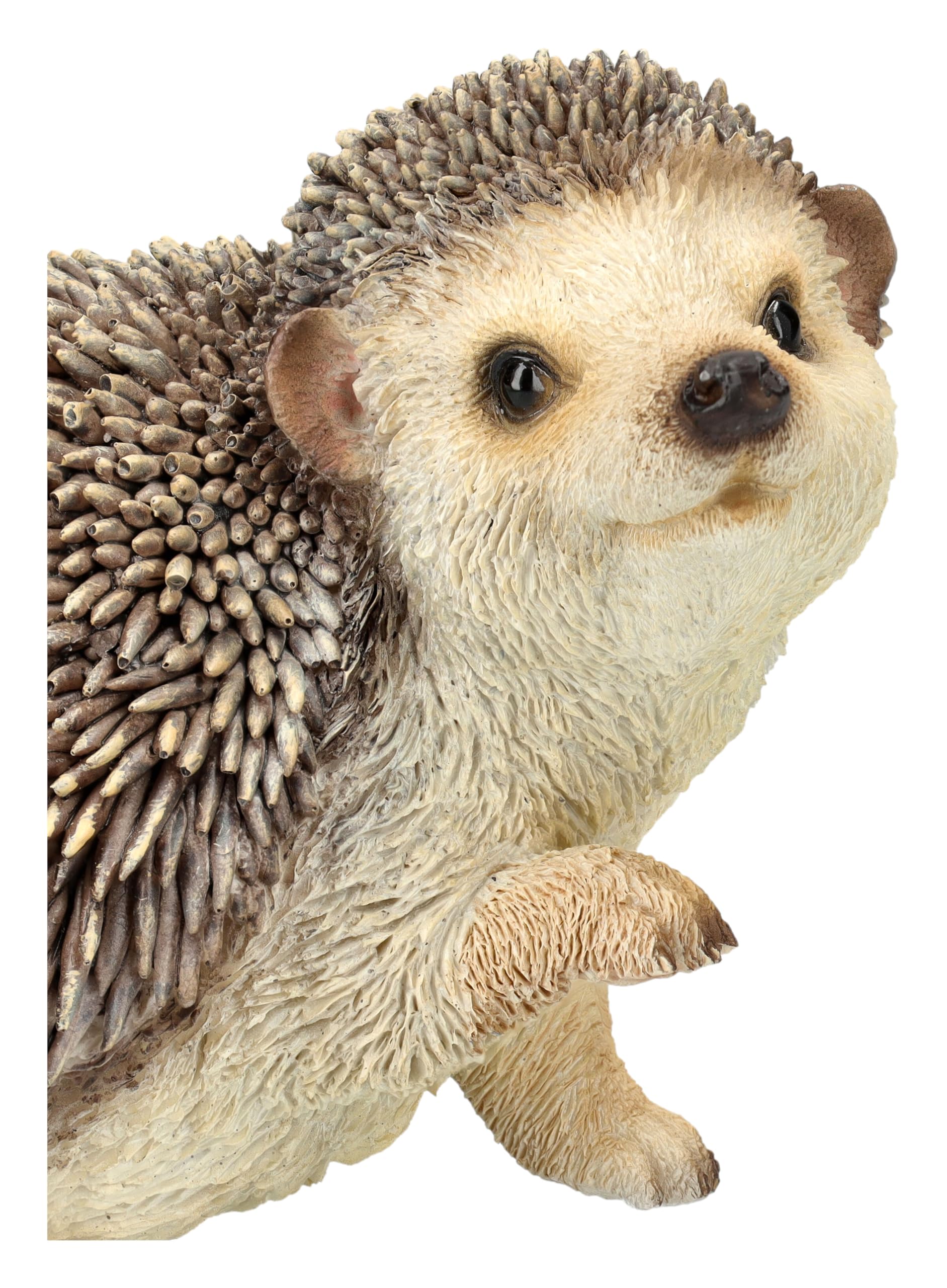 Gartenfigur Igel hebt rechte Pfote – Lebensechte Igelfigur von HotAnt, 13 cm Breite, wetterfest & handbemalt