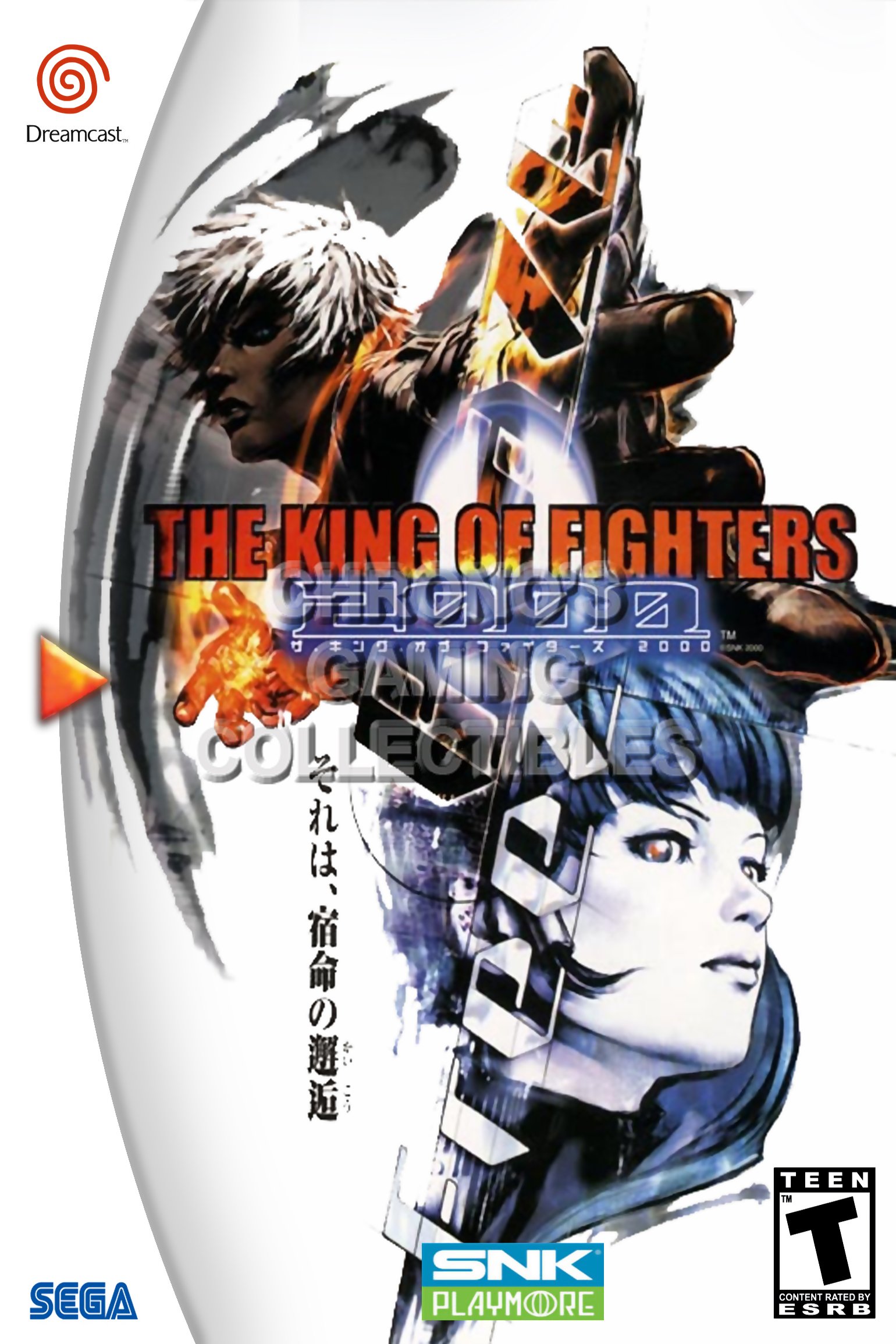 Amazon.com: PrimePoster - King of Fighters 2000 Box Art Poster