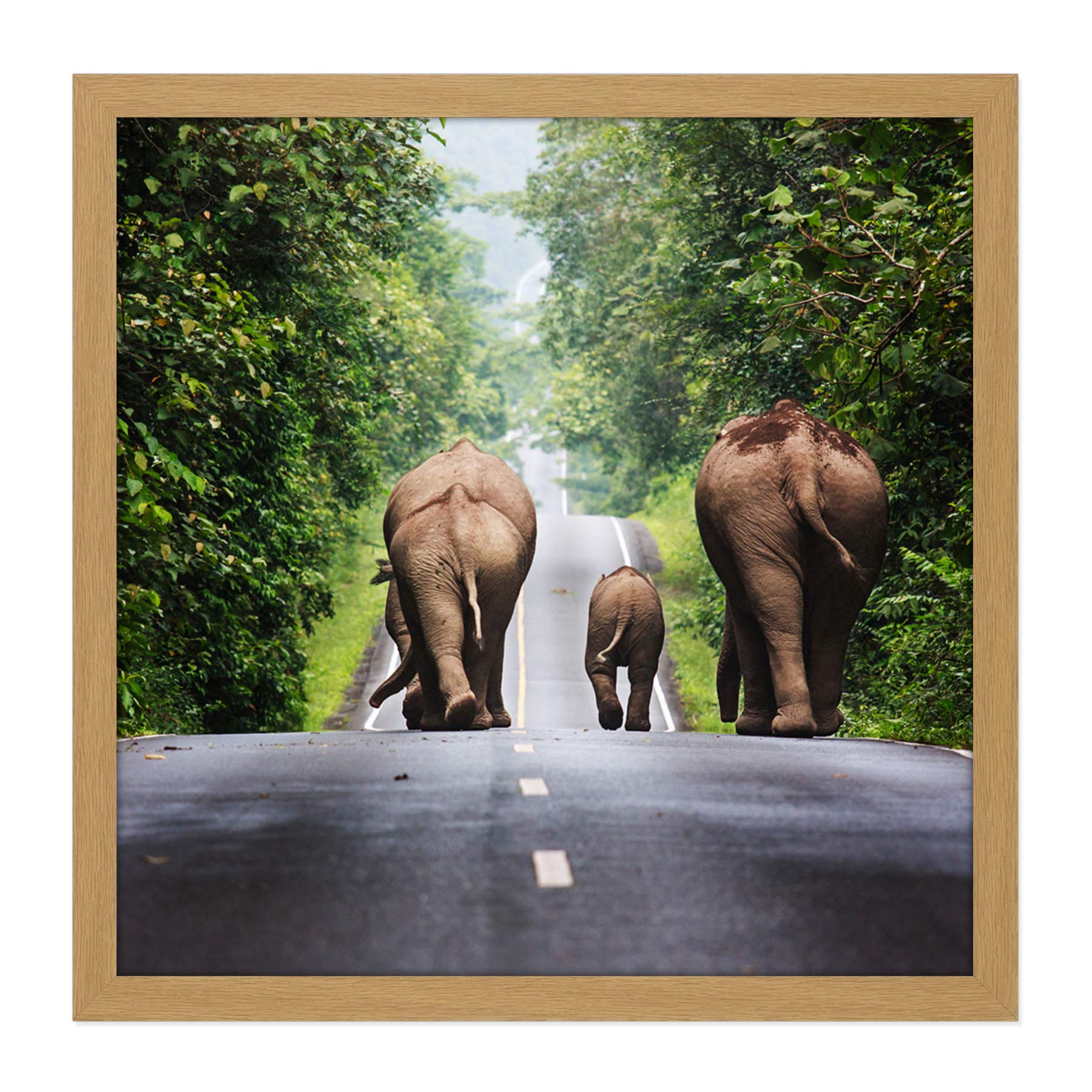 Khunkay Wild Elephants Road Forest Thailand Photo Square Wooden Framed Wall Art Print Picture 16X16 Inch