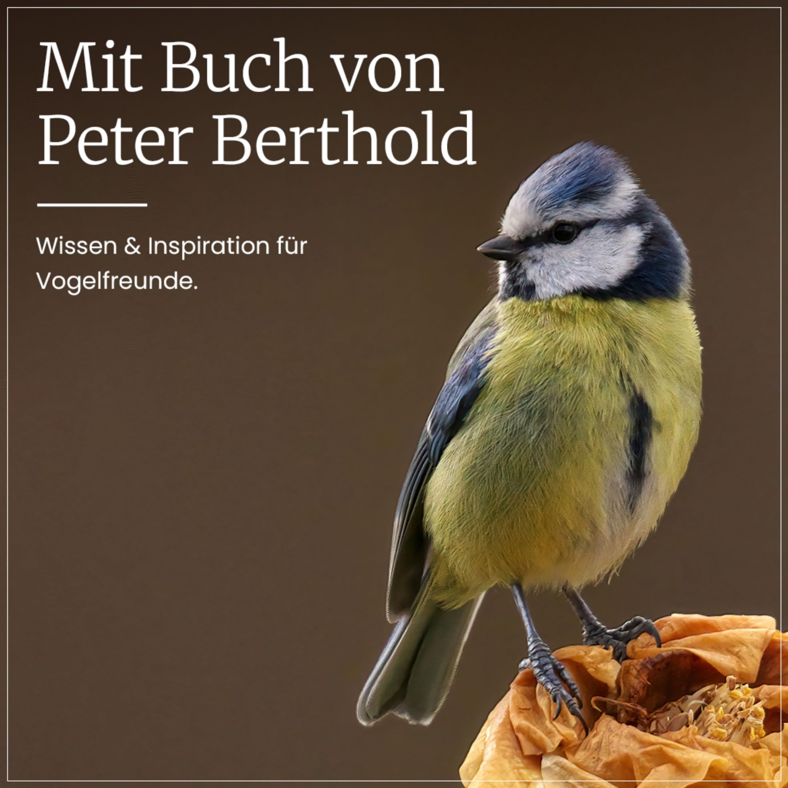 Erdtmanns Wildvogelfutter Starterpaket (1 x 2.15 kg) – mit Futterspender & Buch von Peter Berthold – inkl. Poster & Füttertipps für Sommer & Winter – Vogelfutter – Geschenkset für Naturfreunde