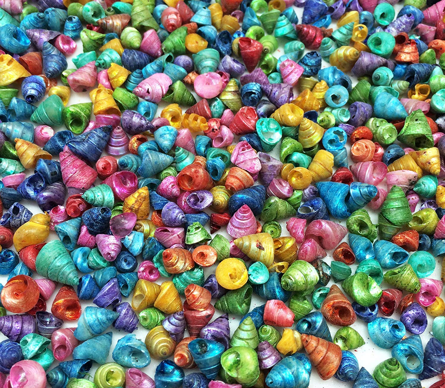 PEPPERLONELY Dyed Assorted Colors Trochus Tiny Sea Shells, 4 OZ Apprx.1300+ PC Shells, 1/4 Inch