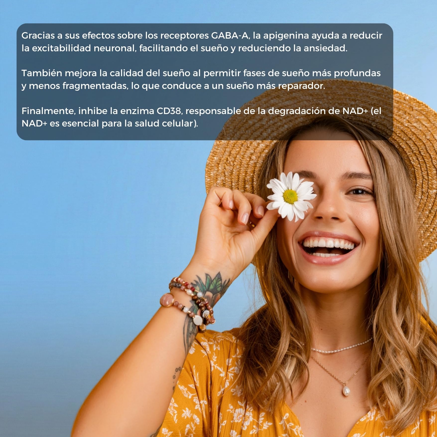 Apigenina Pura ✦ Extracto de Manzanilla ✦ Relajación & Sueño Reparador ✦ Antioxidante & Longevidad ✦ Potencia el NAD+ ✦ 100% Natural & Sin Aditivos ✦ Empresa Francesa ✦