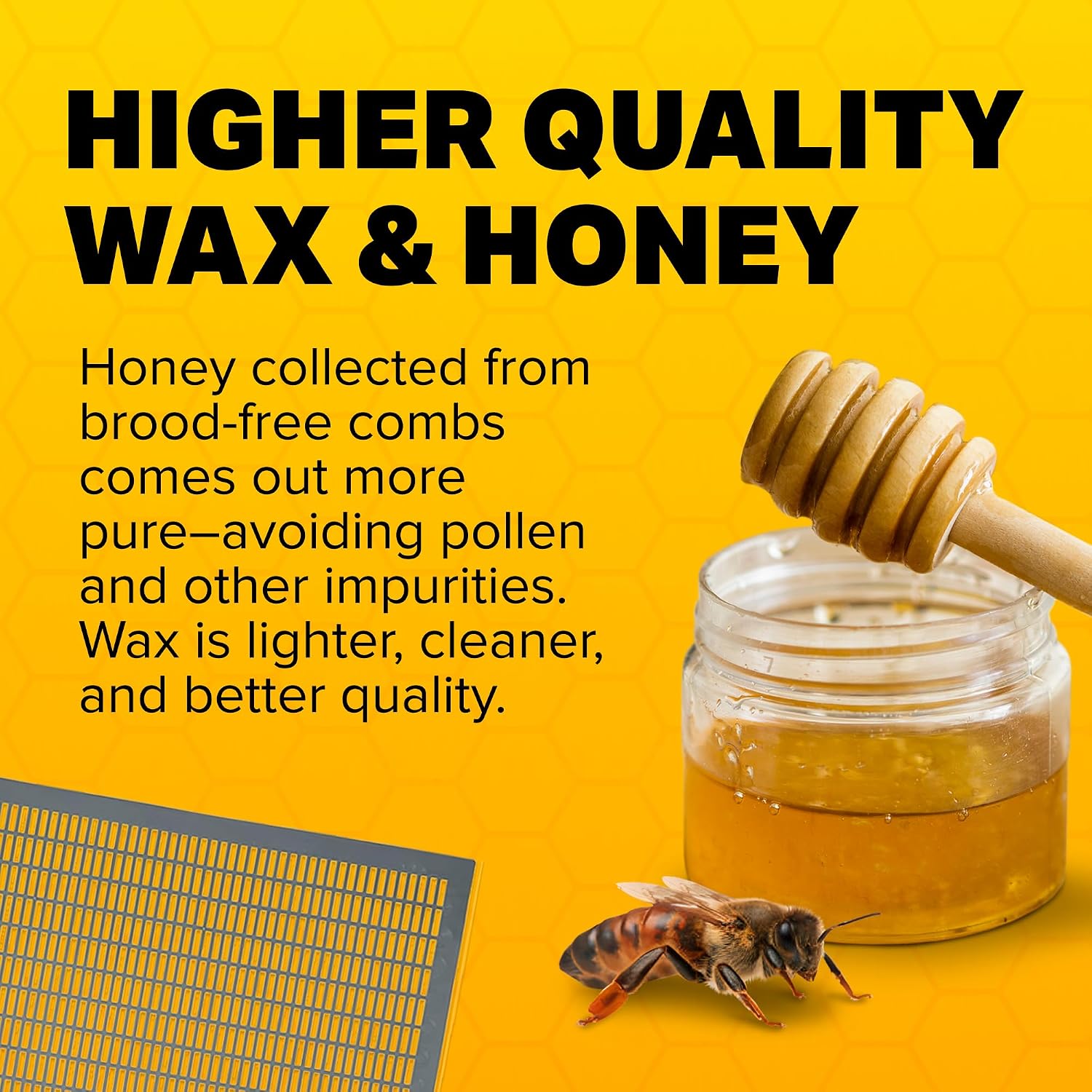 Mann Lake Plastic Queen Excluder, Fits 10 Frame Langstroth Beehives, Beekeeping Supplies & Kit Tools for All Beekeeping Levels