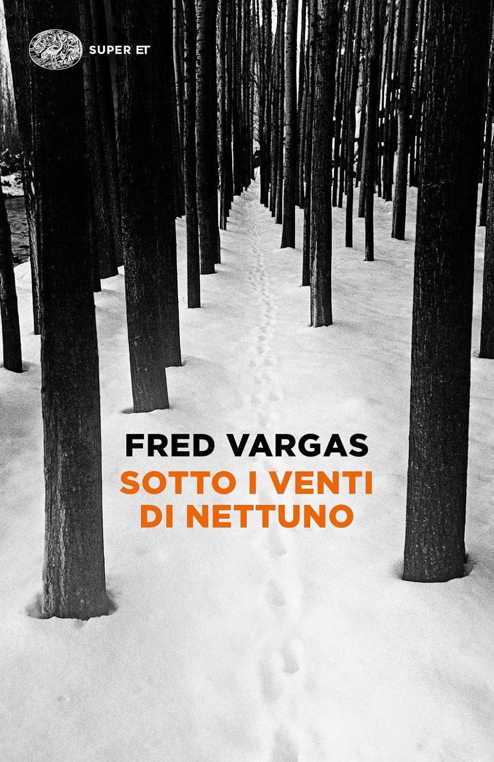 SOTTO I VENTI DI NETTUNO 9788806249823 Fred Vargas Books