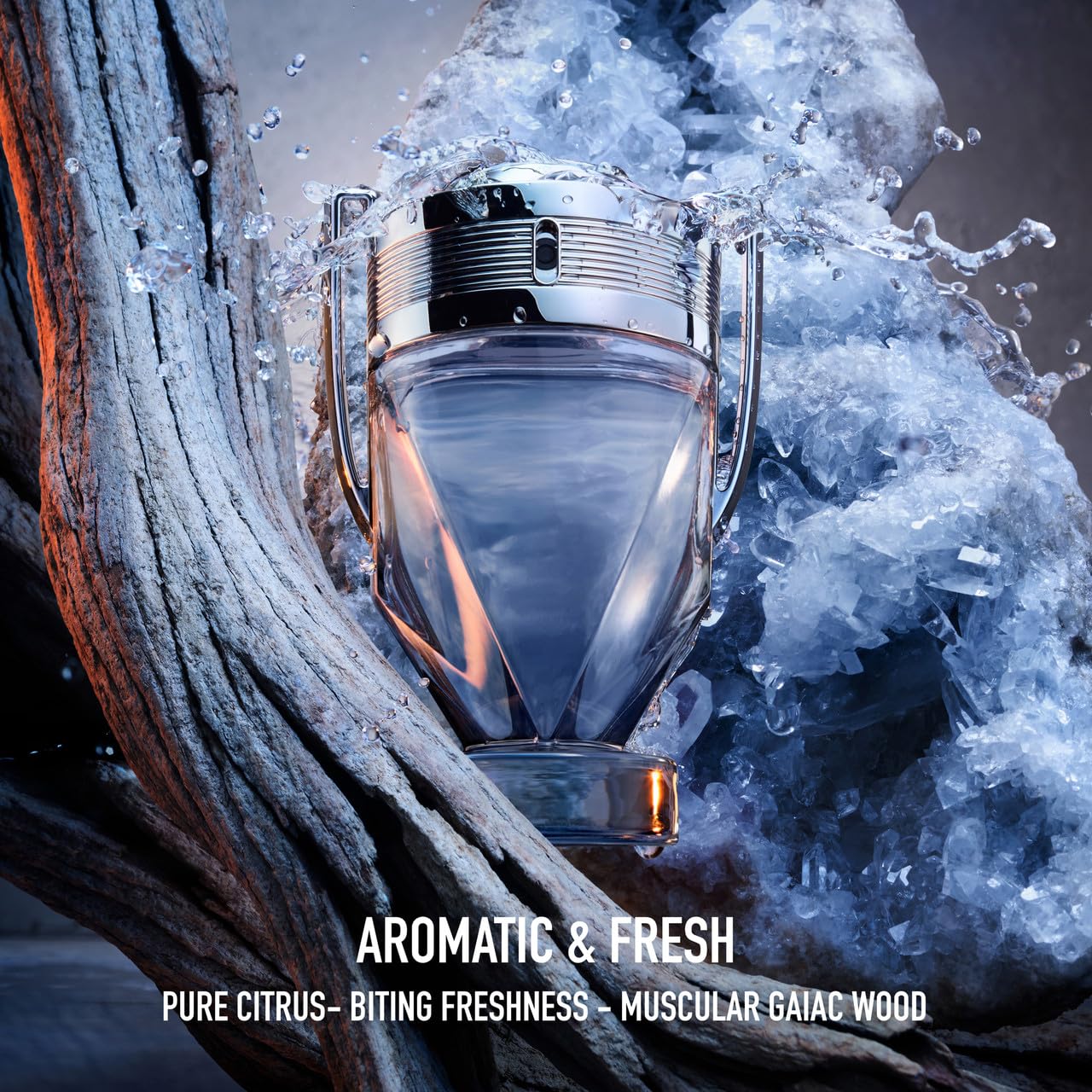 Amazon.co.jp: 【パコラバンヌ】インビクタス EDT・SP 100ml [並行輸入