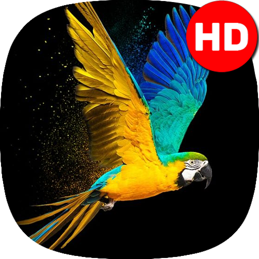 The Best Backgrounds For Android Top 12 Picks in 2022 BNB