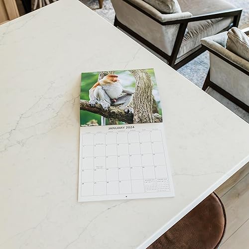 Miniatura 7 de Calendario mensual de pared 2024 de animales salvajes Whizzing, animales salvajes, regalo de broma hilarante, regalo de elefante blanco, regalo de