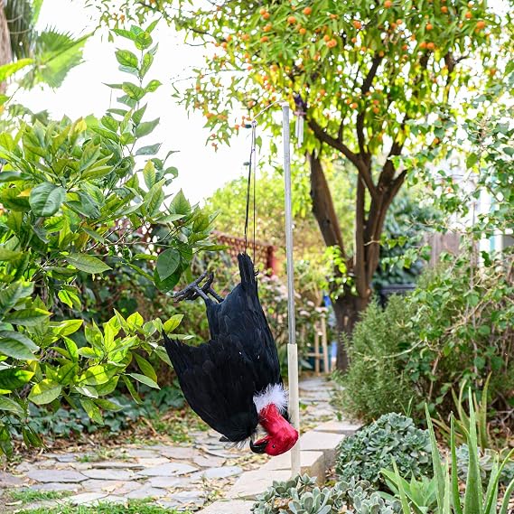 BirdBusters Dead Vulture Effigy 18 inch Tall, Deters Turkey & Black Vultures / Buzzards from Roofs, Trees and Cell Towers