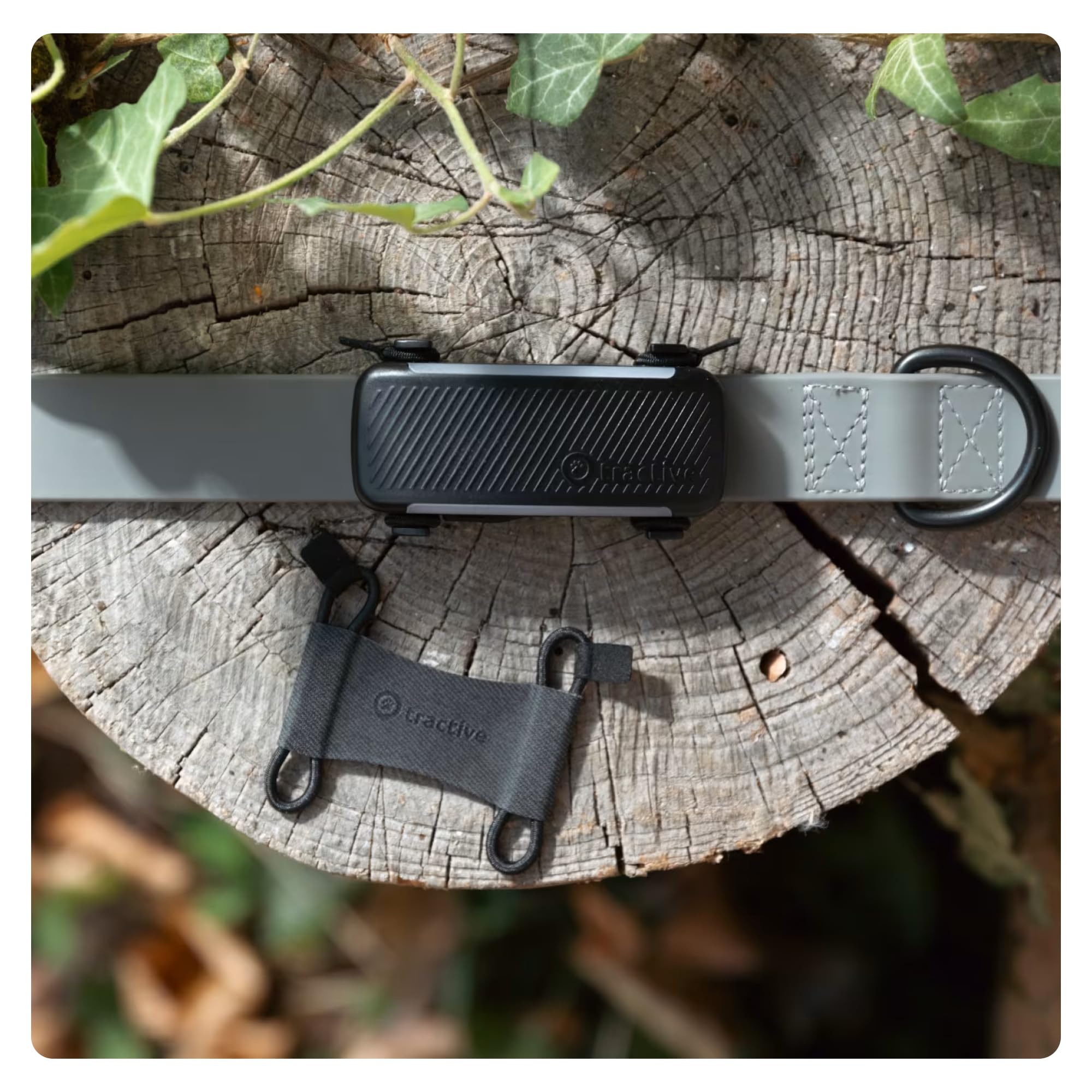 Tractive - 2 clip in tessuto per il GPS per cani Tractive DOG 6 (nero) - formato grande (L)