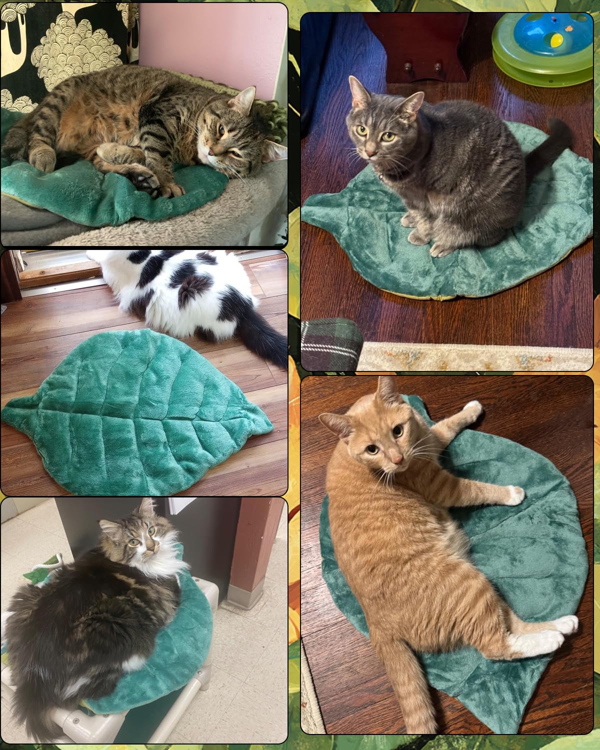 Tappetino per gatti autoriscaldante per gatti, 66 x 50 cm, a forma di foglia, in cotone, morbido e caldo, per interni, divano, pavimenti, materasso caldo per cani e gatti (verde)