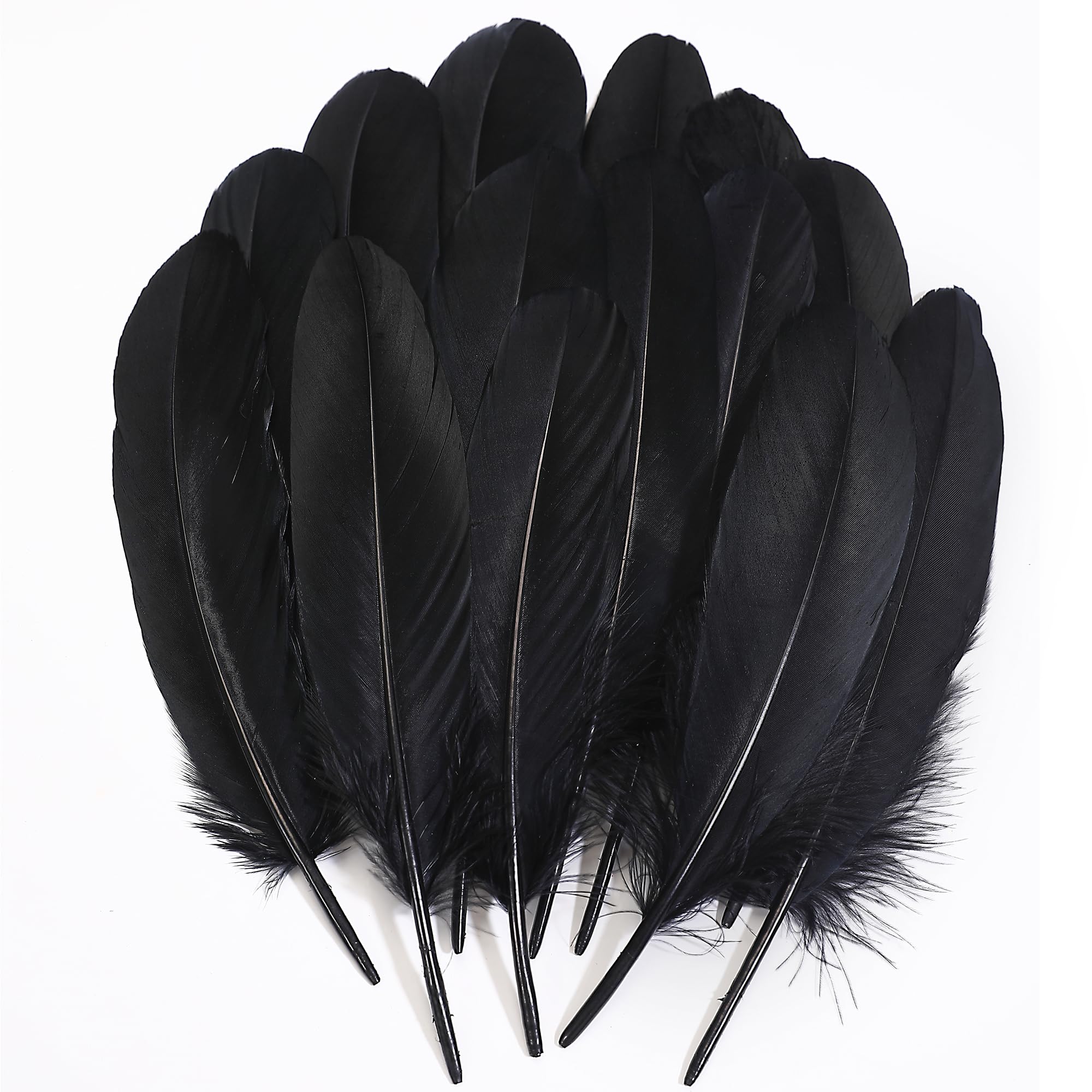 Ballinger Large Craft Black Goose Feathers Bulk, 120 PCS, 6-8 Inch — image 1