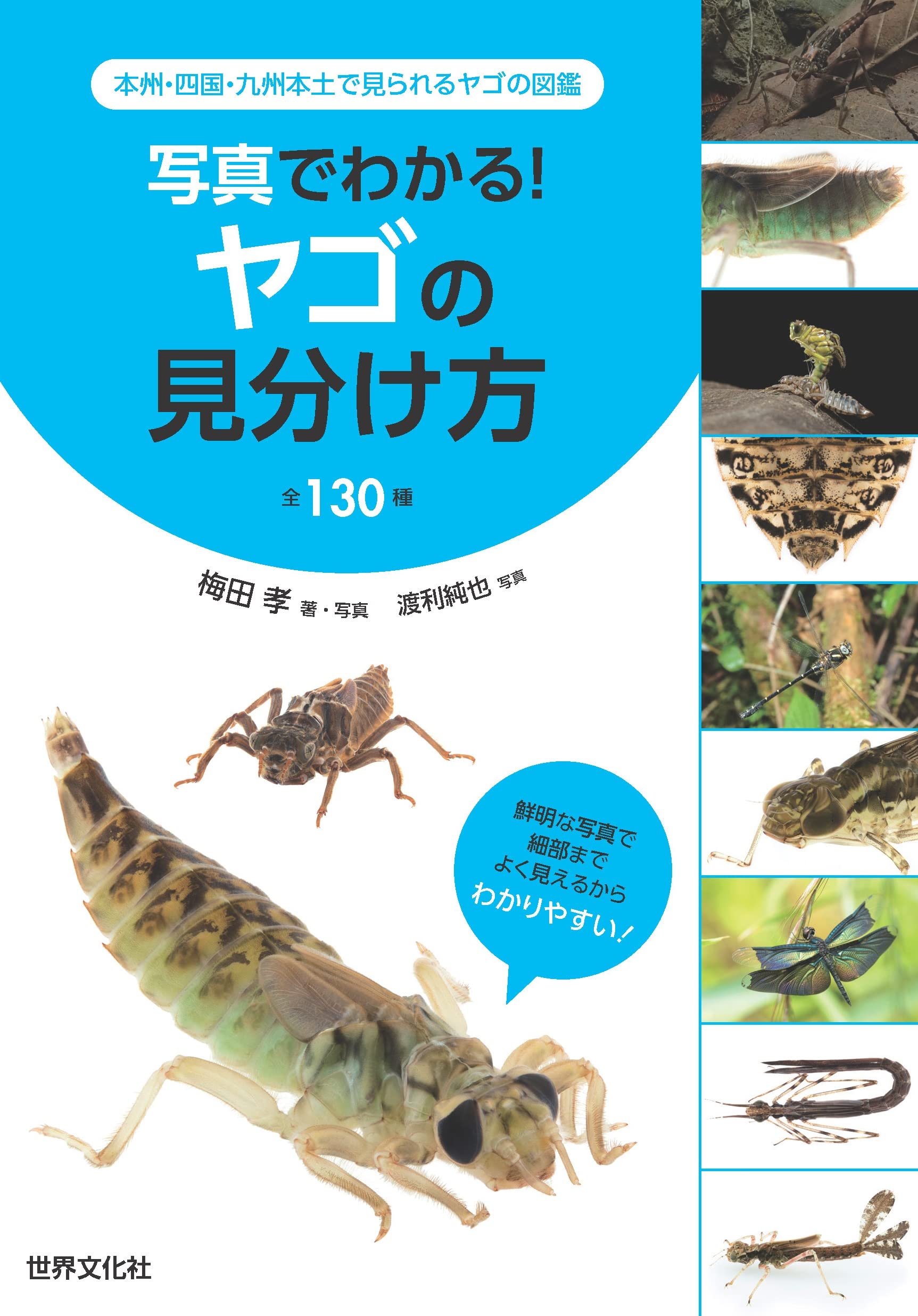 Amazon.co.jp: 写真でわかる！ヤゴの見分け方 全130種 本州・四国