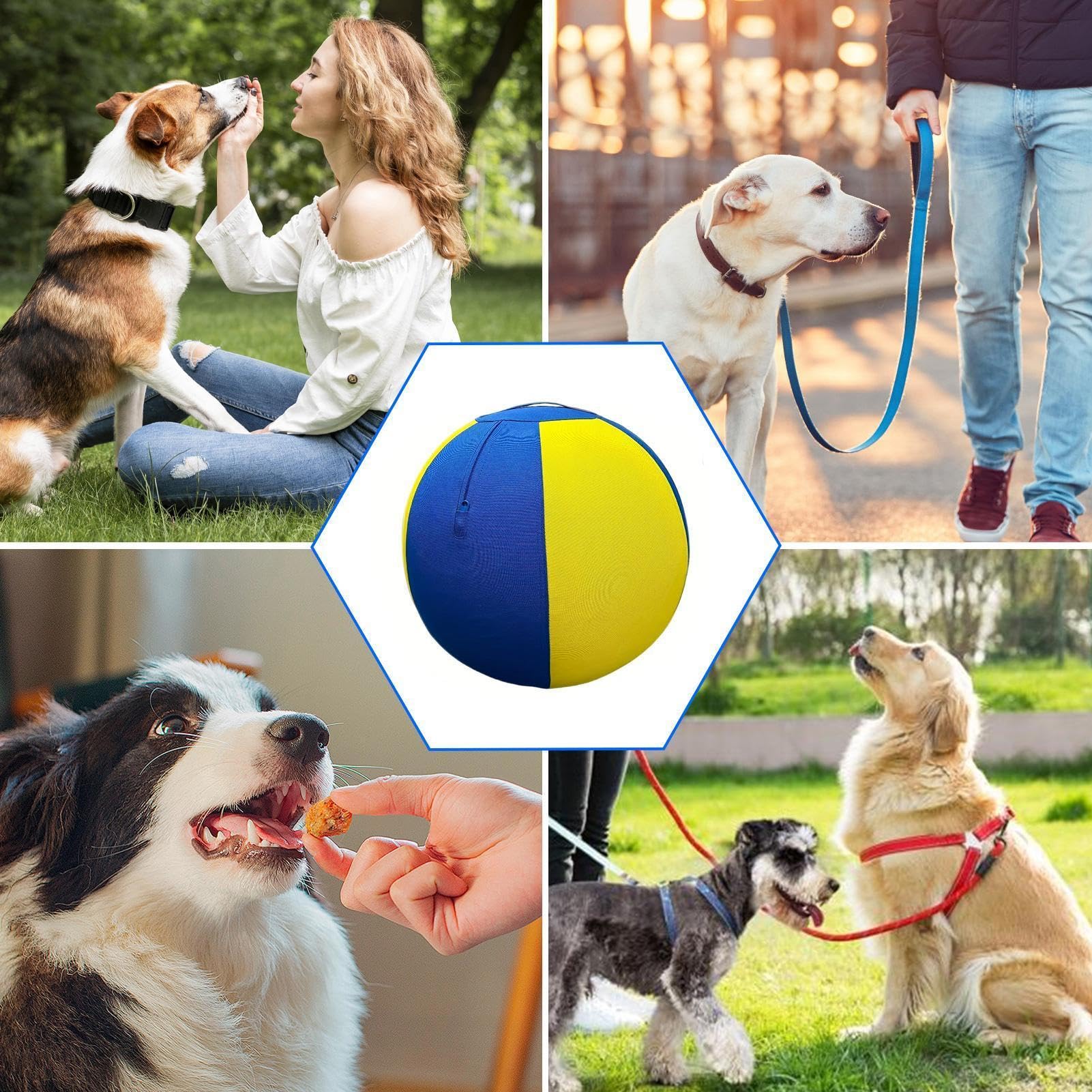 Balle de pour chien Équipement d'agilité rebondissant de 45 cm