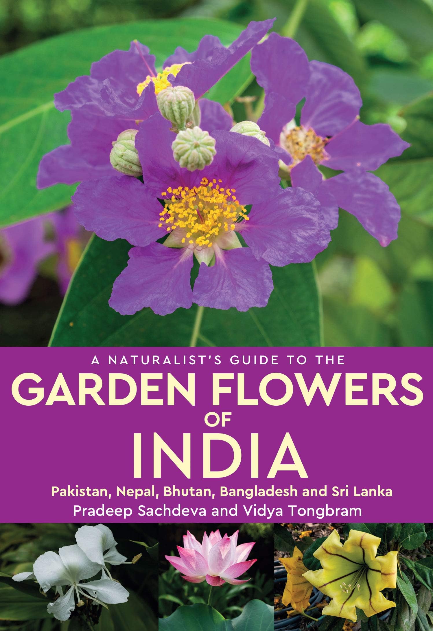 A Naturalistโs Guide to the Garden Flowers of India