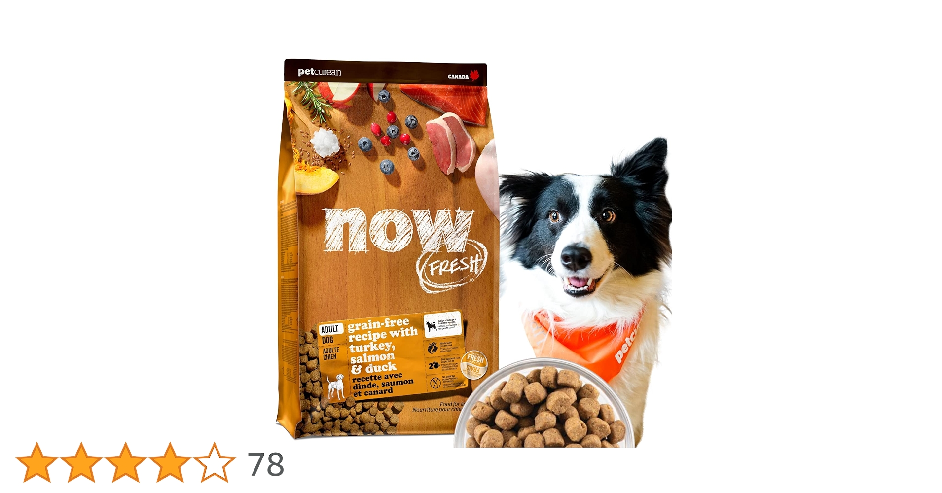 81t5WcPbLKL.jpg_BO30,255,255,