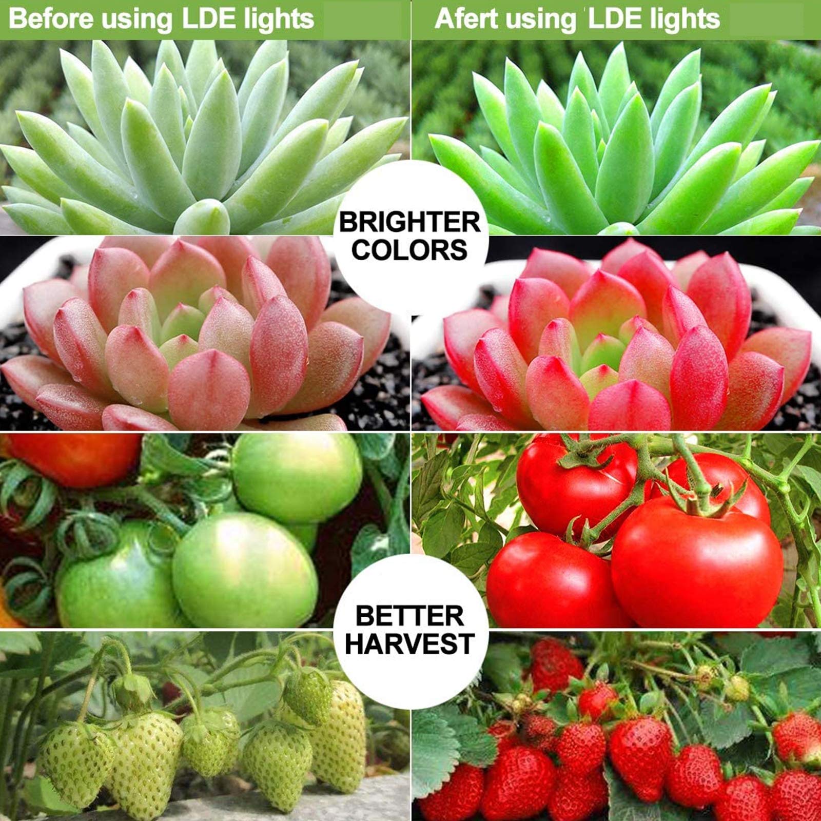 COB Lampe De Culture,Lampe Plante LED, 1000W Lampe De Croissance, Lampe Horticole,Fonction Daisy Chain, Spectre Complet Lampe De Croissance pour Légumes, Semis, Floraison Et Résultats,3000W