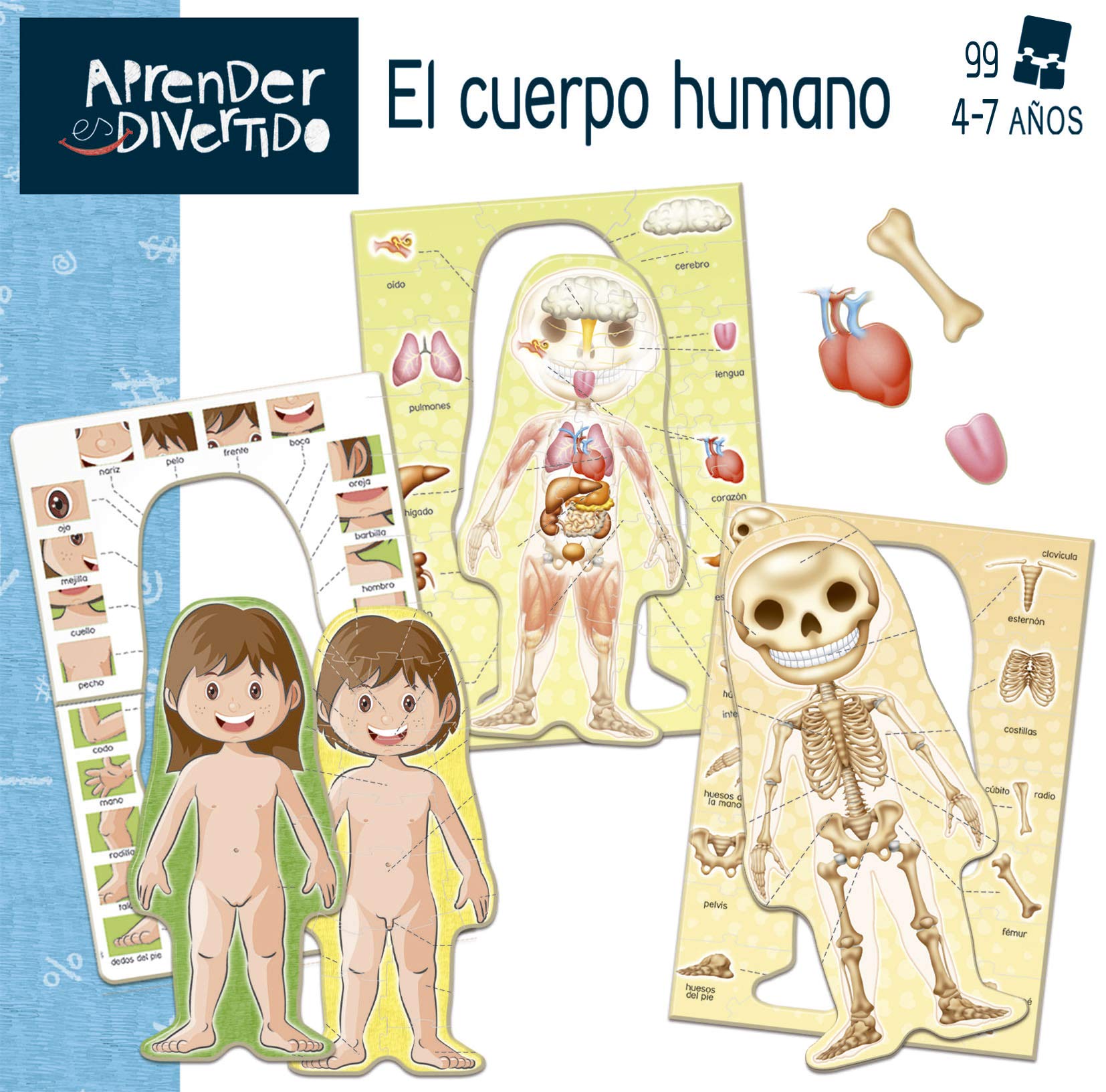 Educa - I learn the Human Body | Learning is Fun | Educational toy children 4 5 years old | They will learn the different parts of the body with a silhouette of boy or girl (18701) — view 4