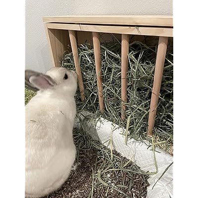rabbit feeding station