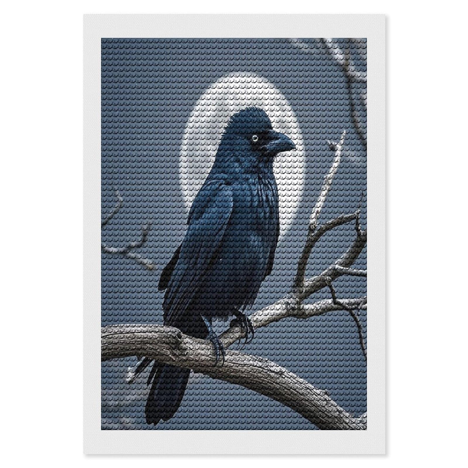 FekiLoot Night Crow Diamond Painting Kits for Adults Full Round Drill Diamond Art Kits for Beginners 5D DIY Diamond Dots Paintings Diamonds Pictures Gem Art Home Wall Decor 8"x12"