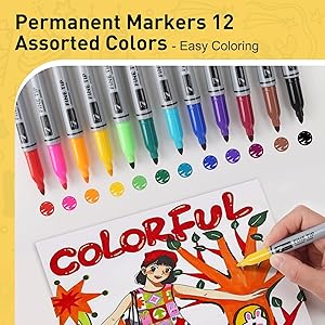 12 Permanent Markers - Assorted Colors Drawing Marker Pens Set, Waterproof Quick Drying Fine Tip Colored Artists Markers for Adults Coloring
