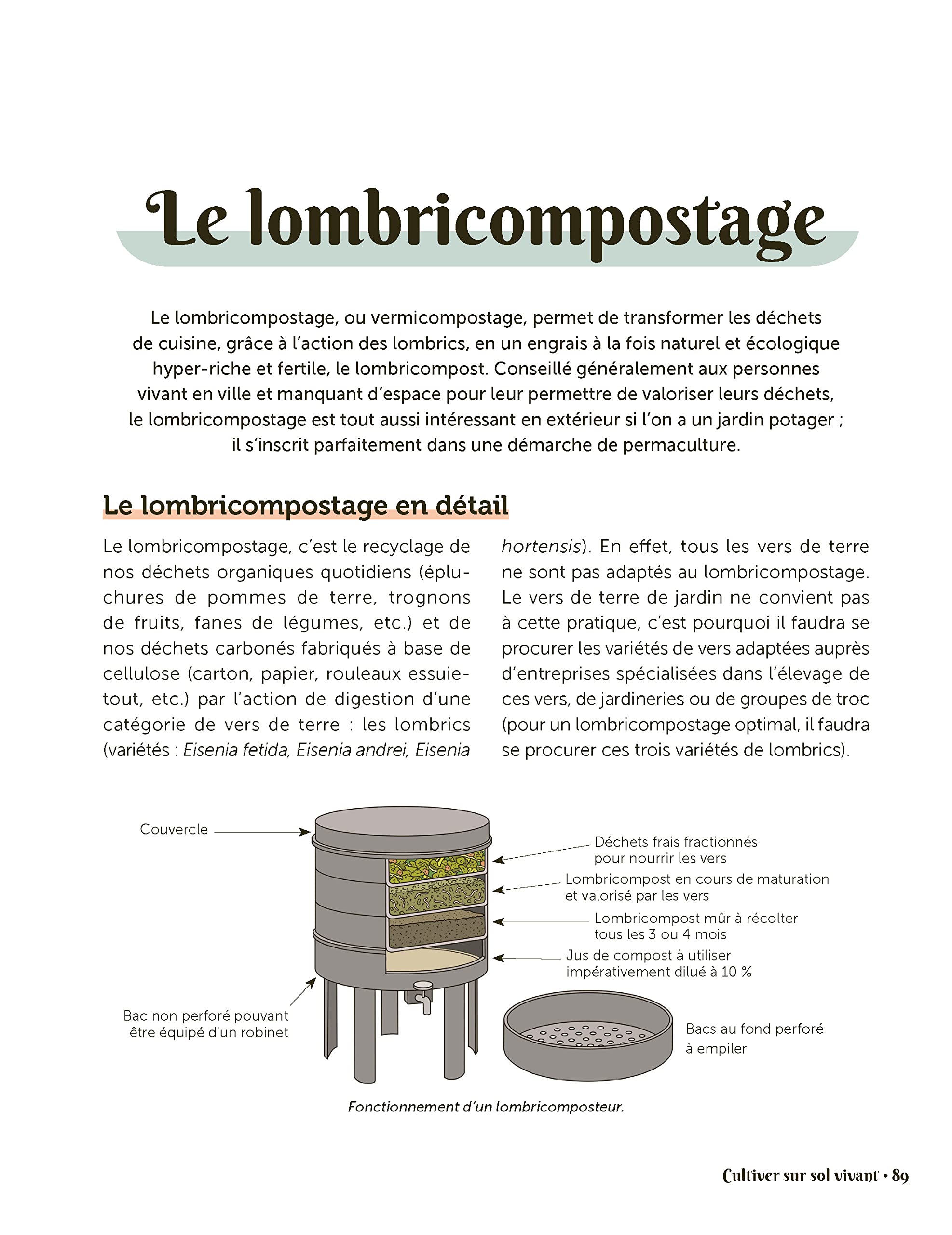 Permaculture, la bible pour débuter